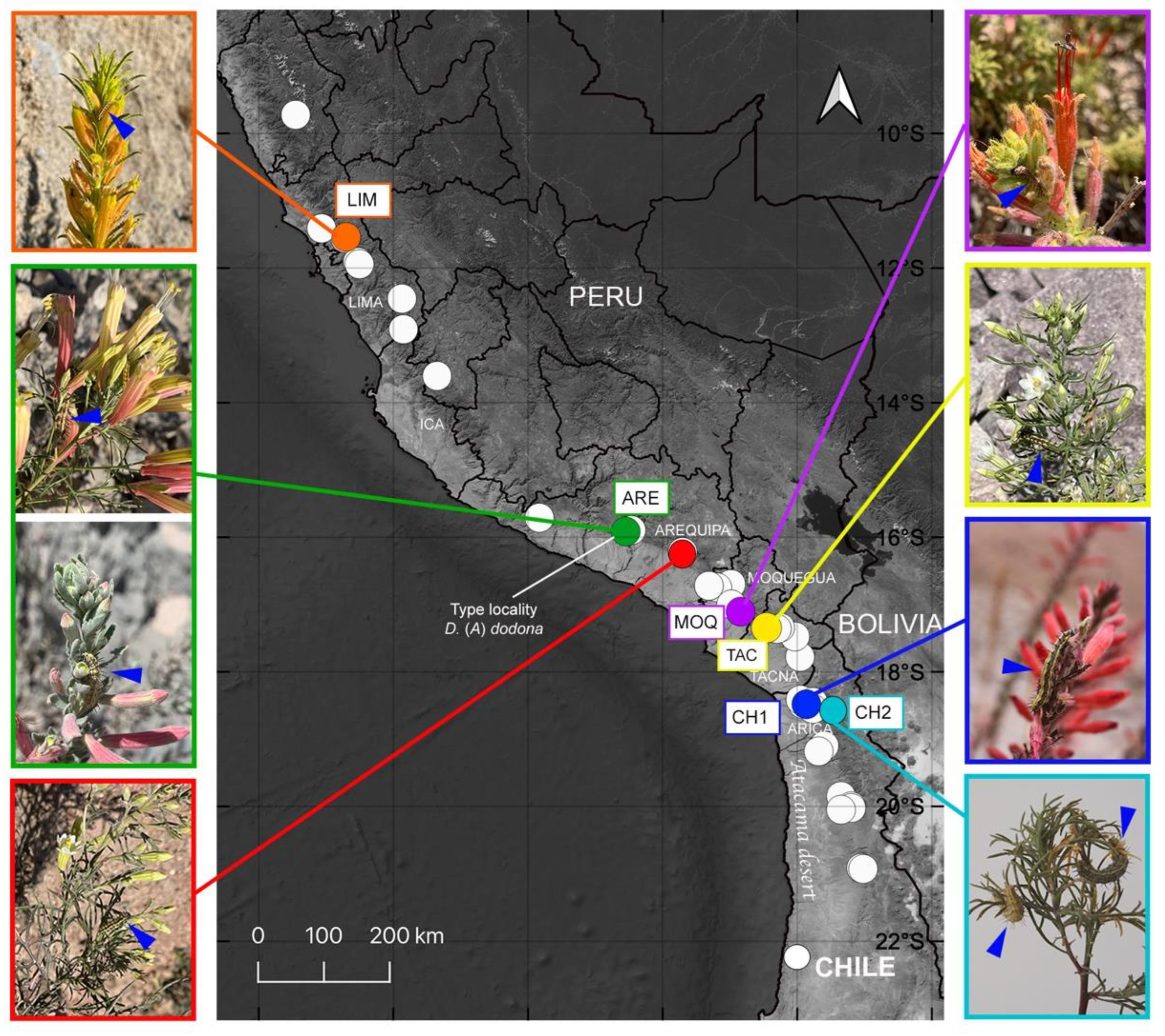 Insects 13 00819 g001