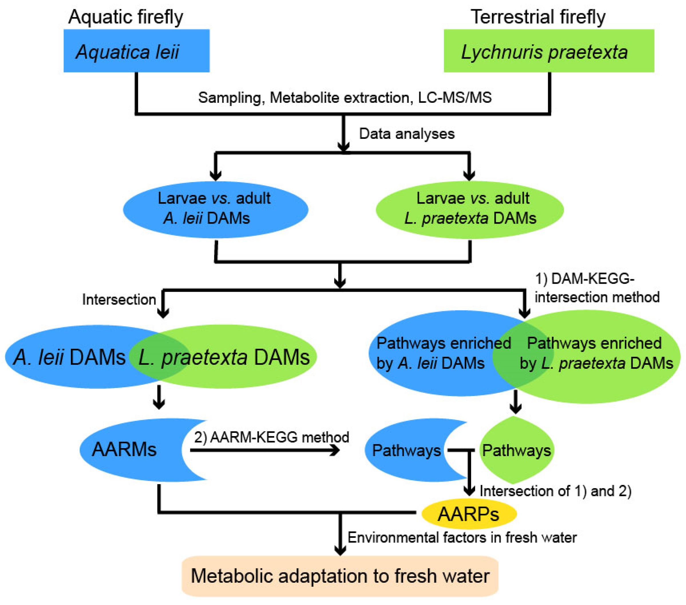 Insects 13 00823 g001