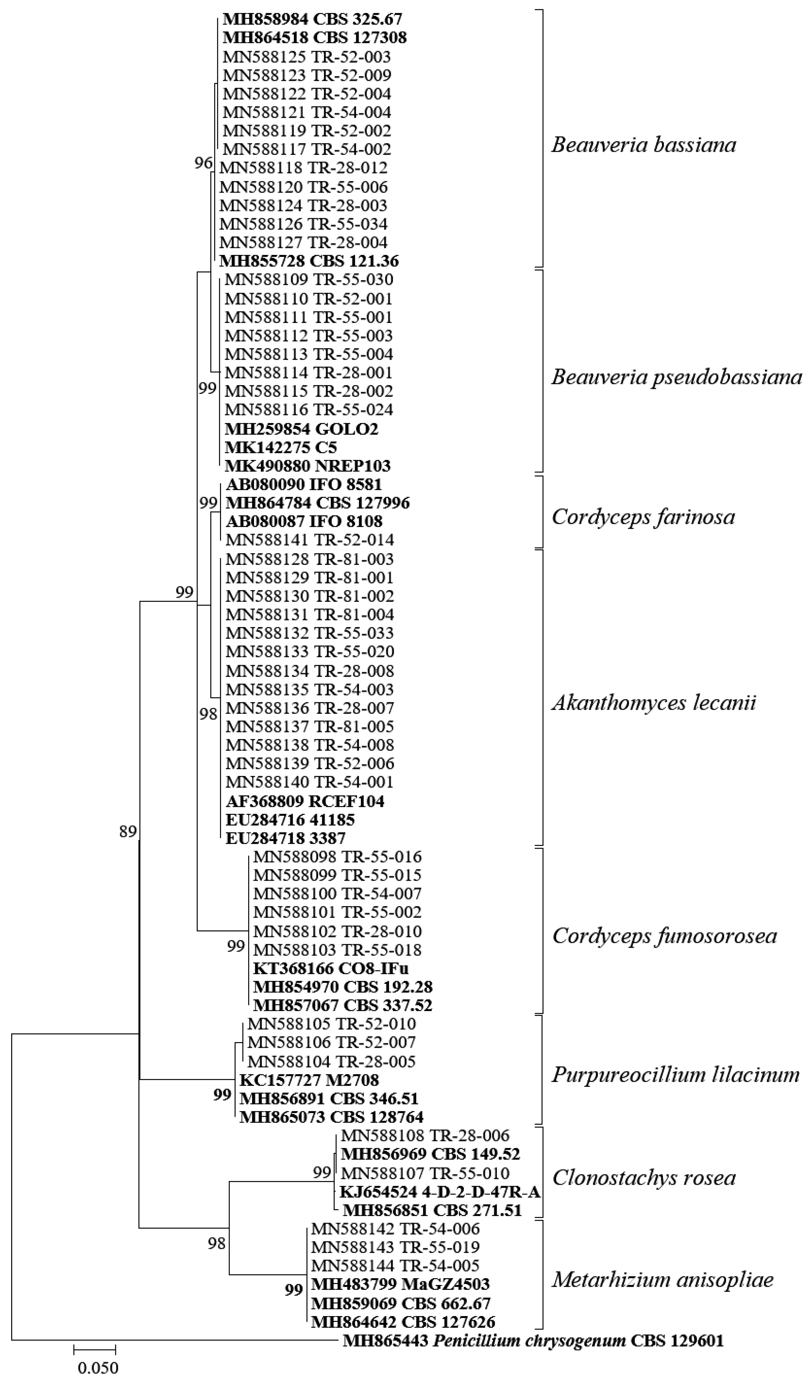 Insects 13 00824 g001
