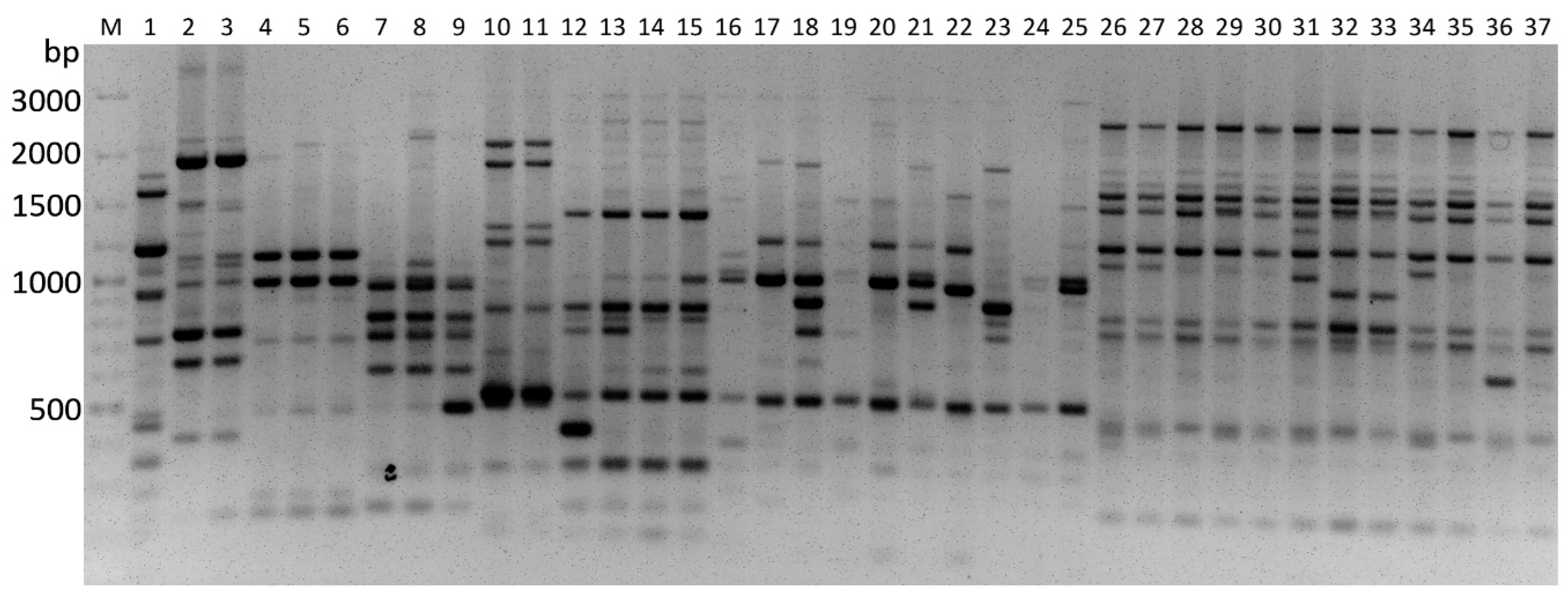 Insects 13 00824 g002