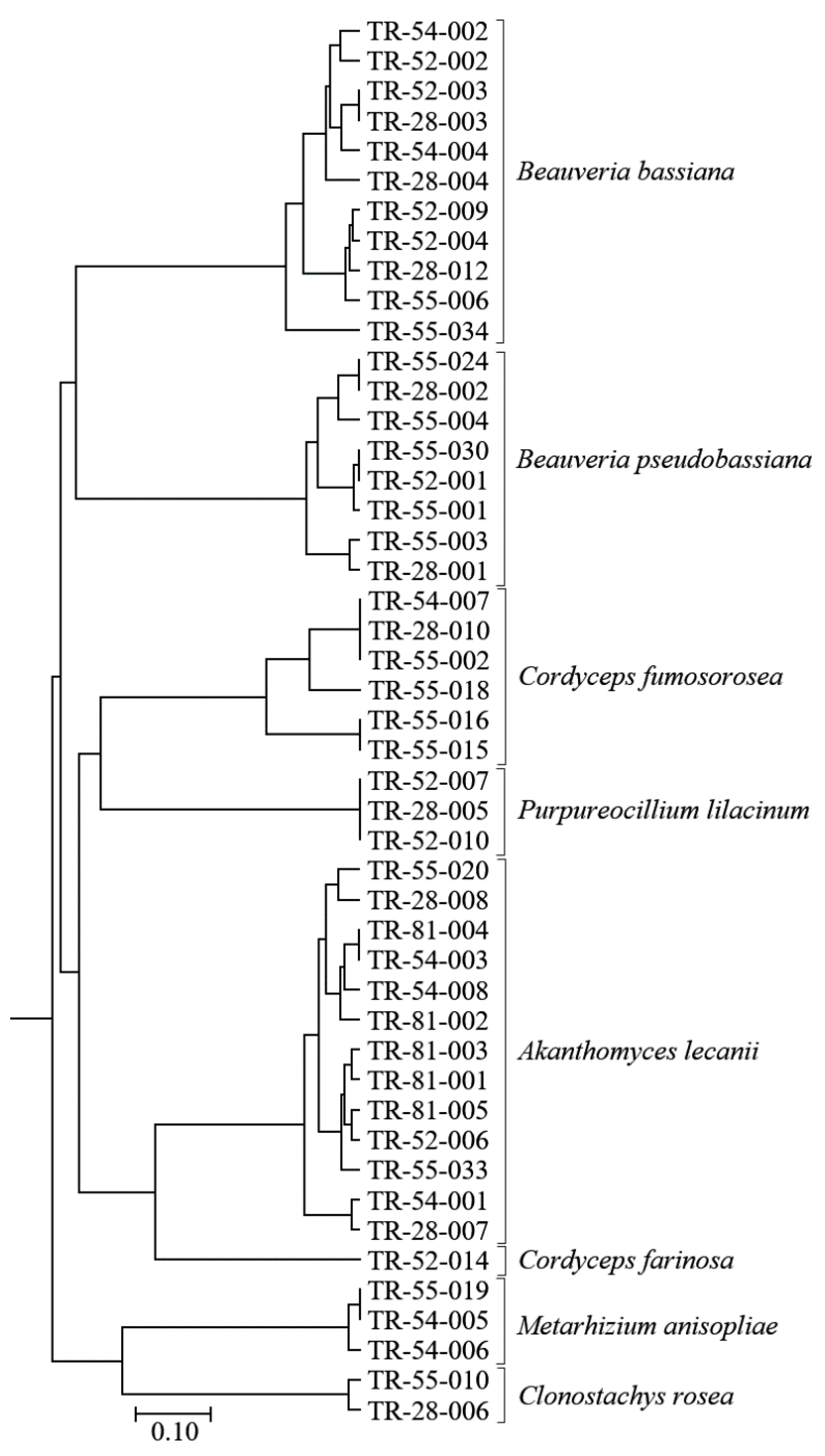 Insects 13 00824 g003