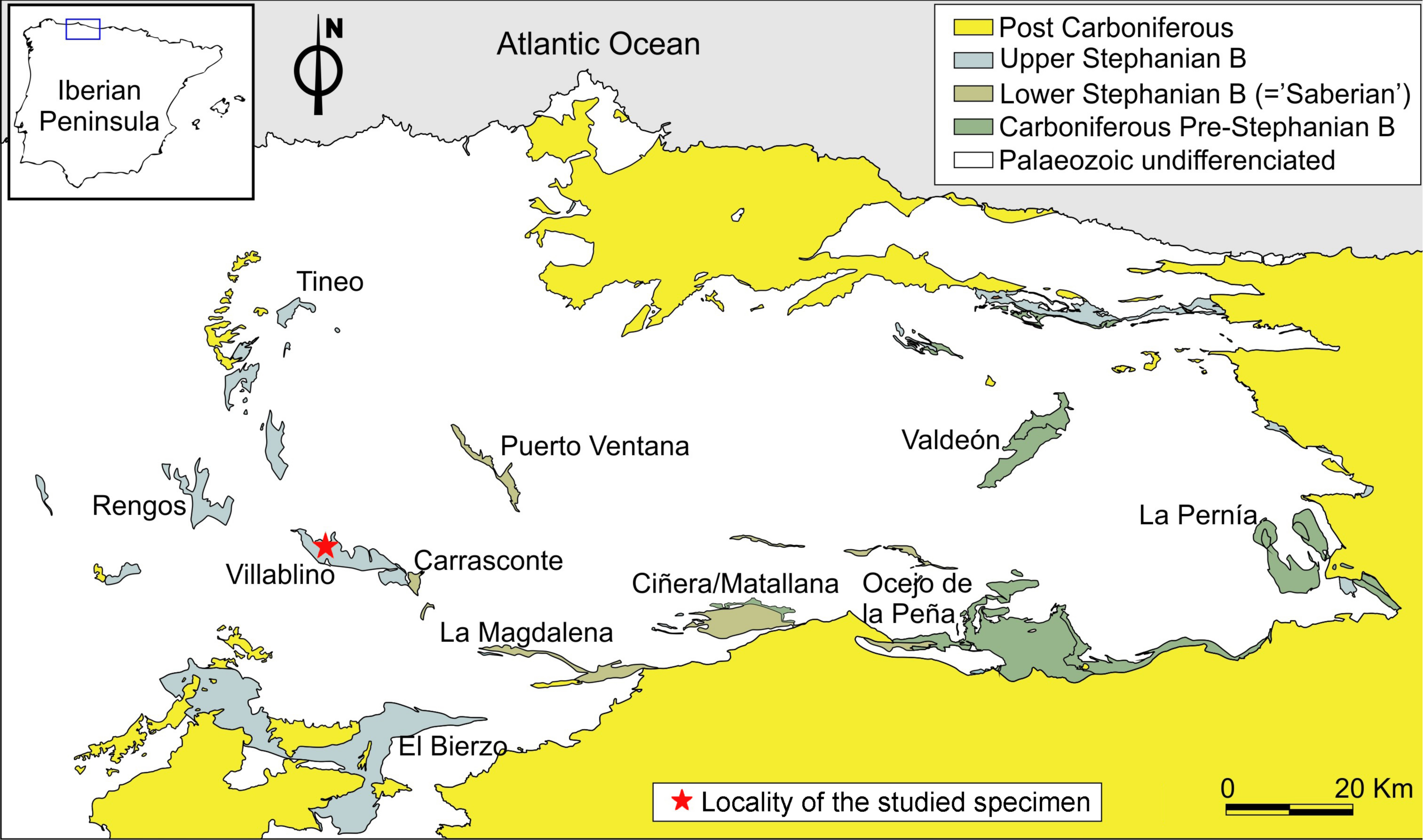 Insects 13 00828 g001