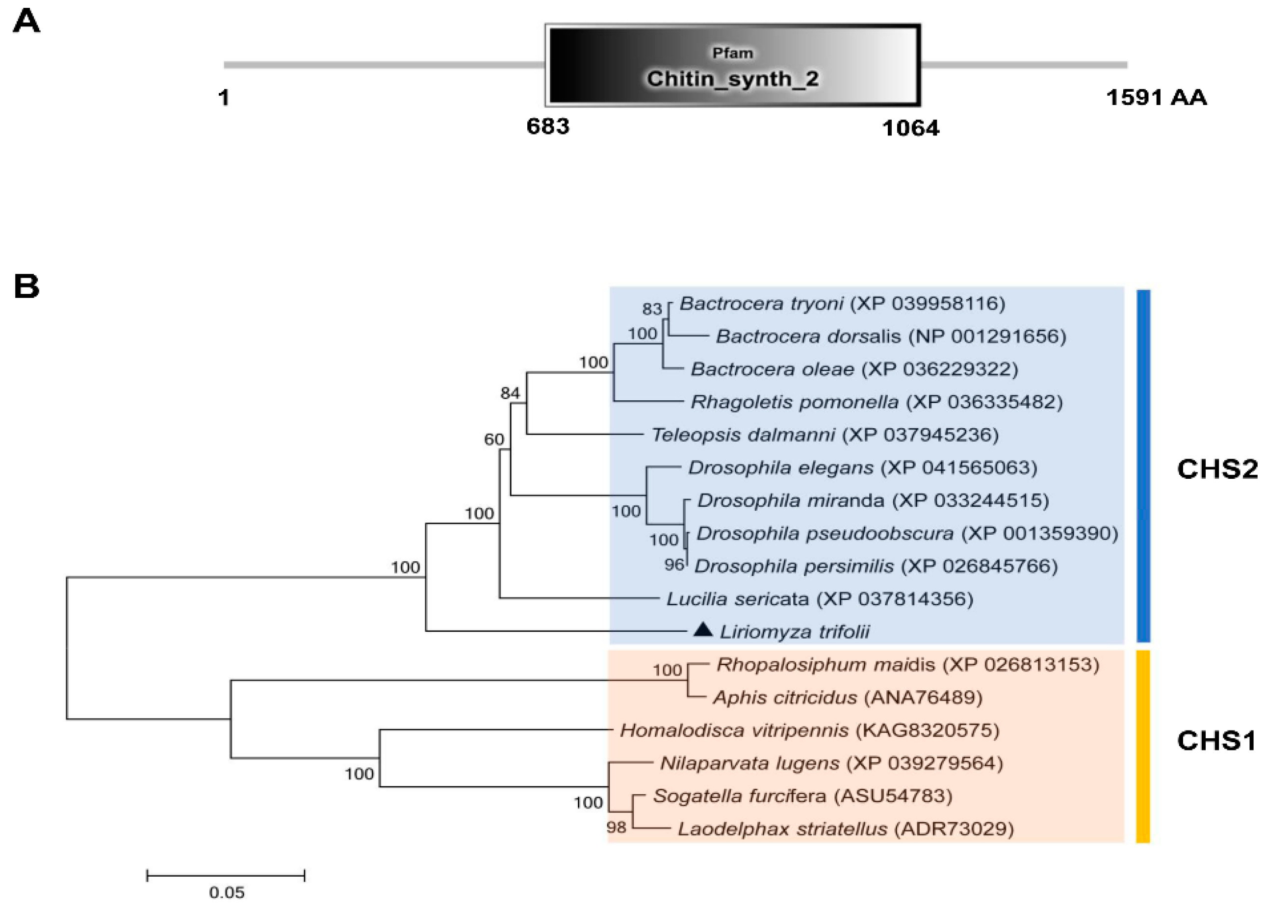 Insects 13 00832 g001