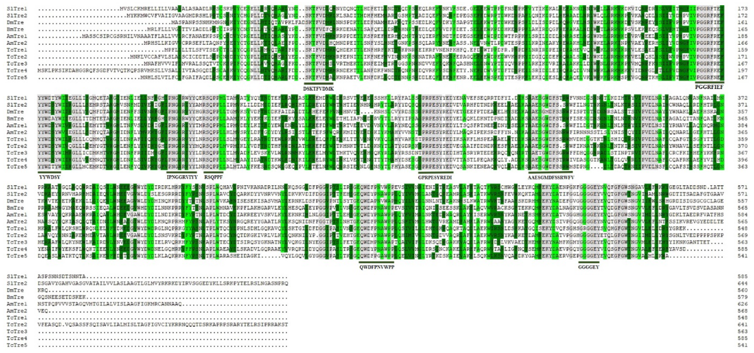 Insects 13 00833 g001