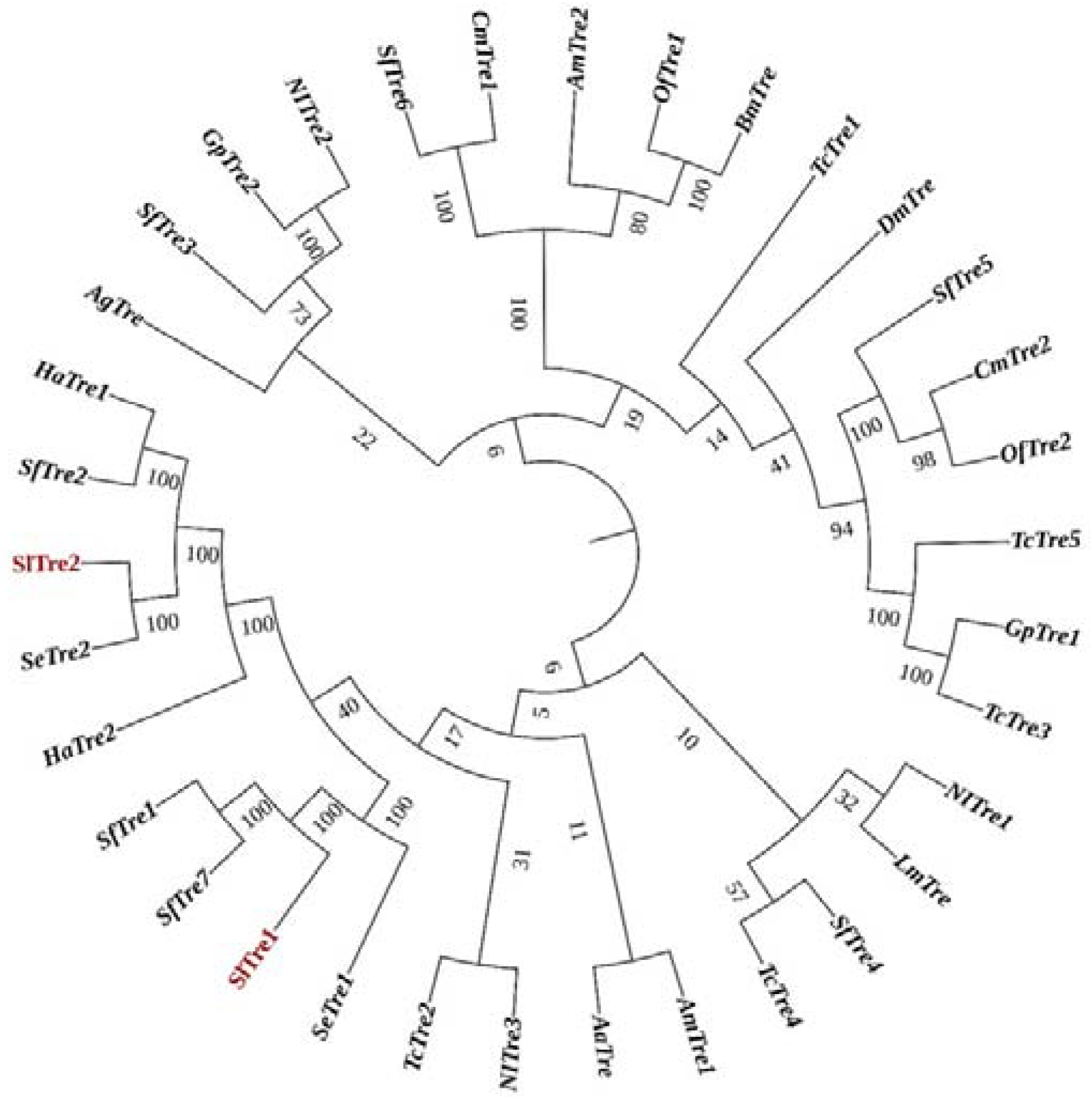 Insects 13 00833 g002