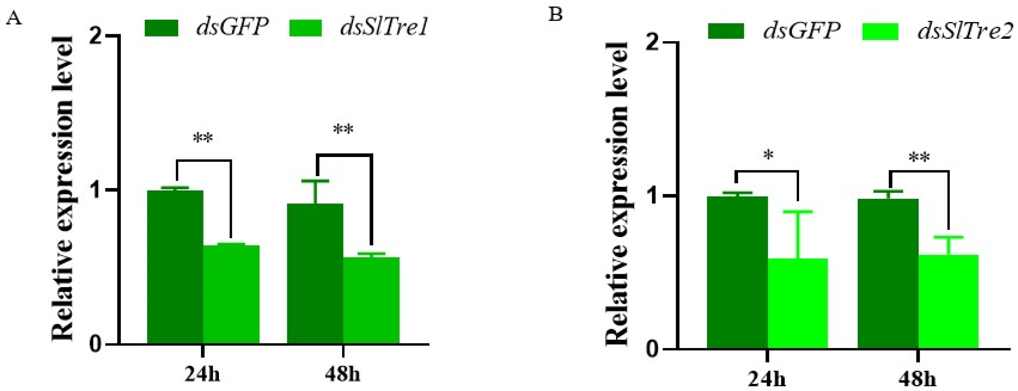 Insects 13 00833 g004