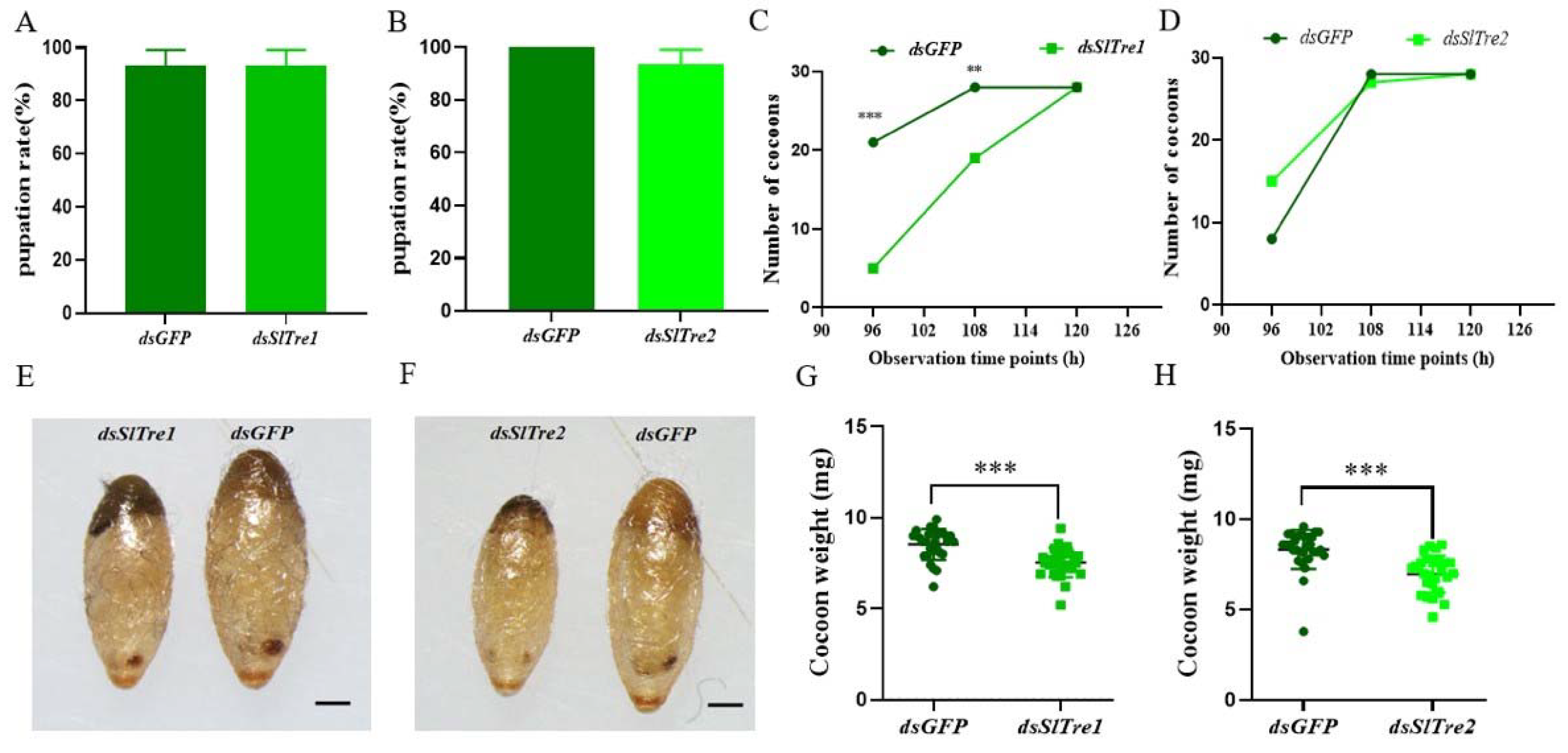 Insects 13 00833 g007