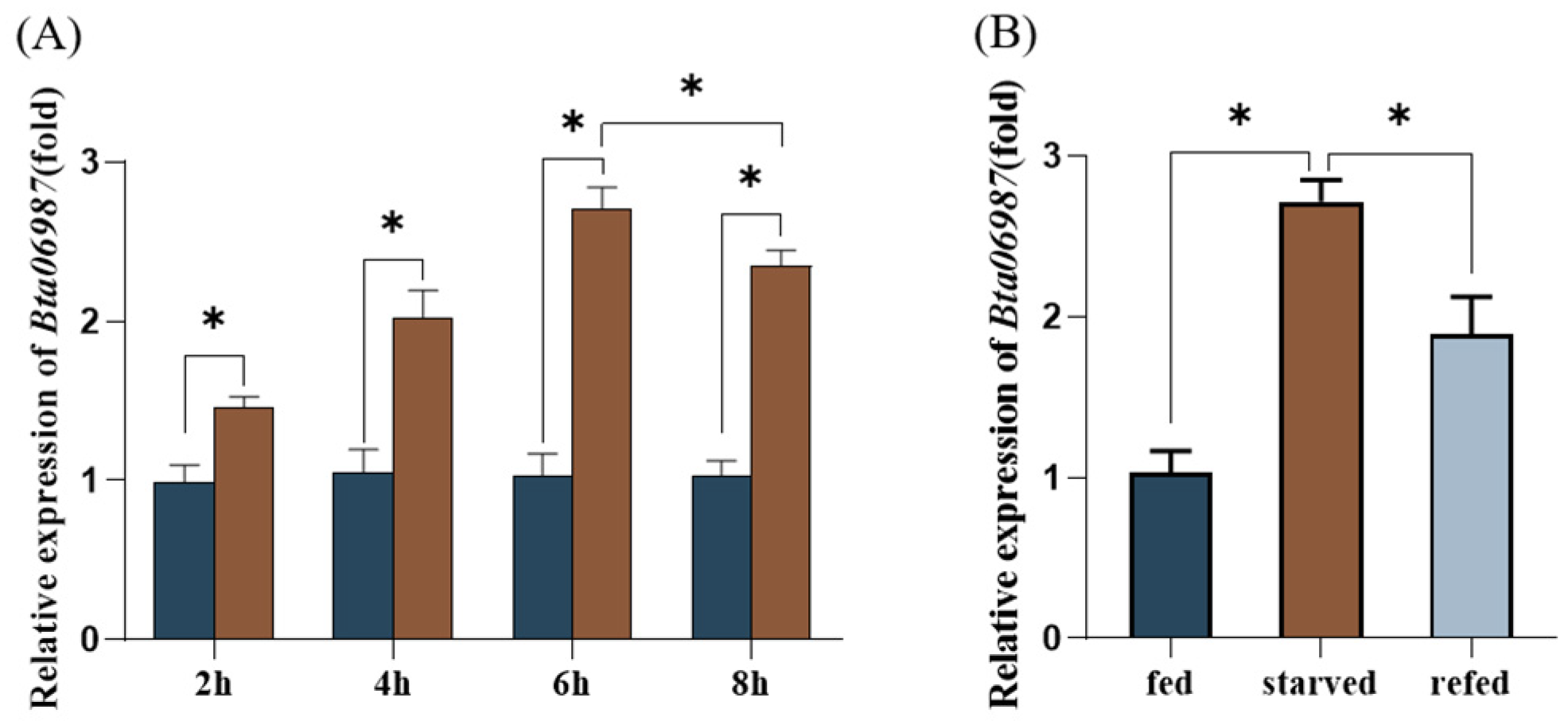 Insects 13 00834 g002