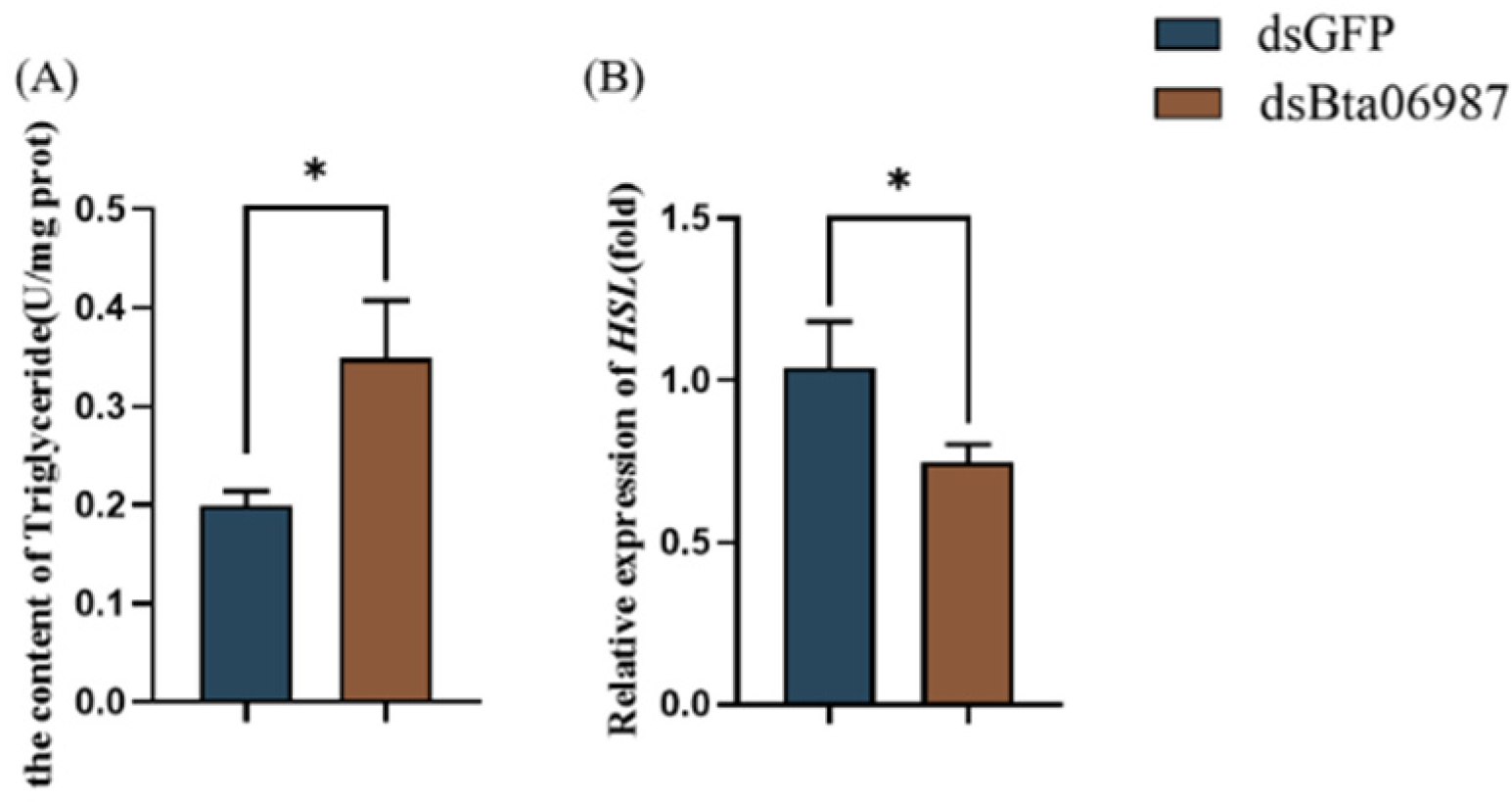 Insects 13 00834 g005
