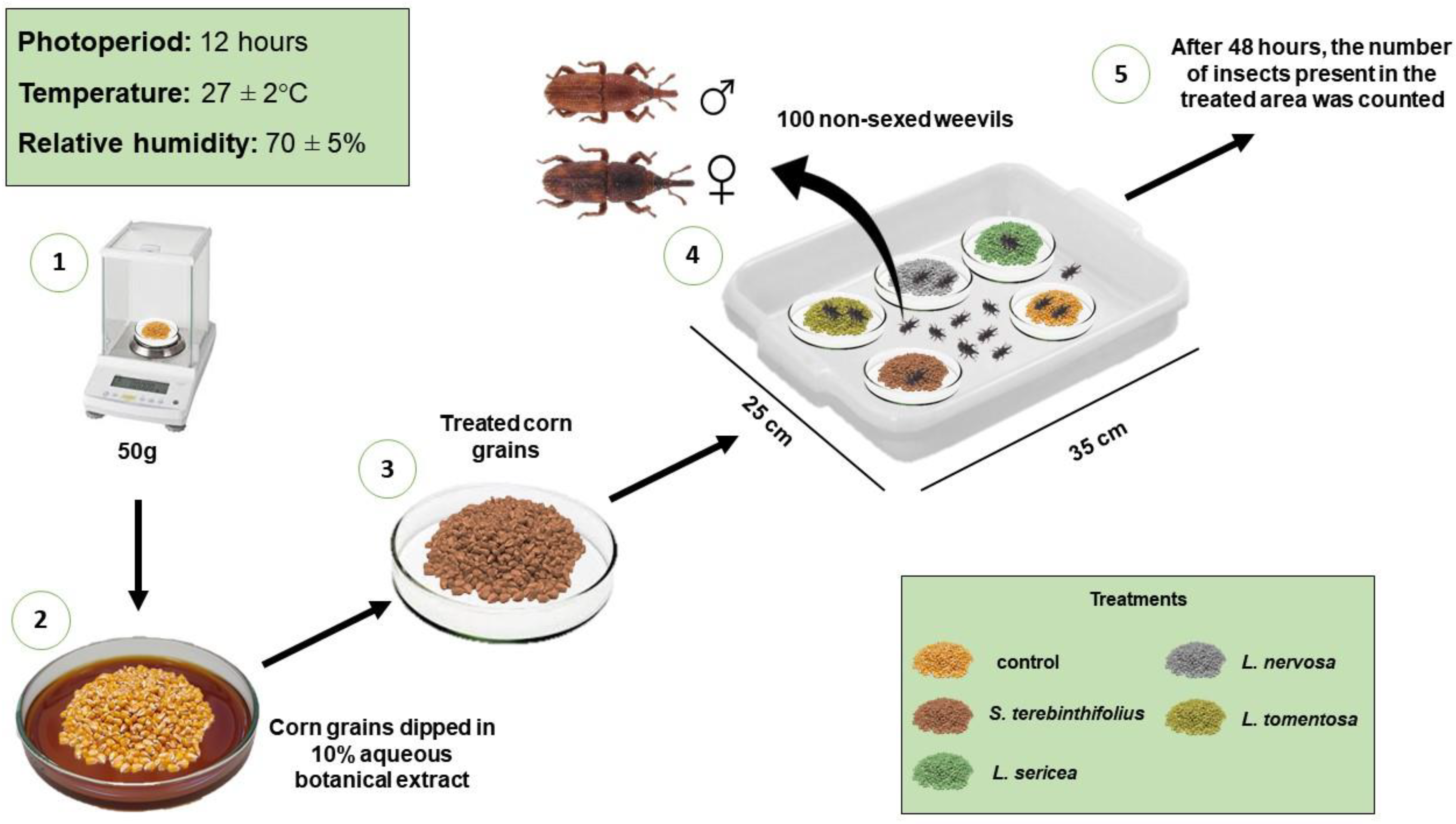 Insects 13 00842 g001 Insects 13 00842 g001