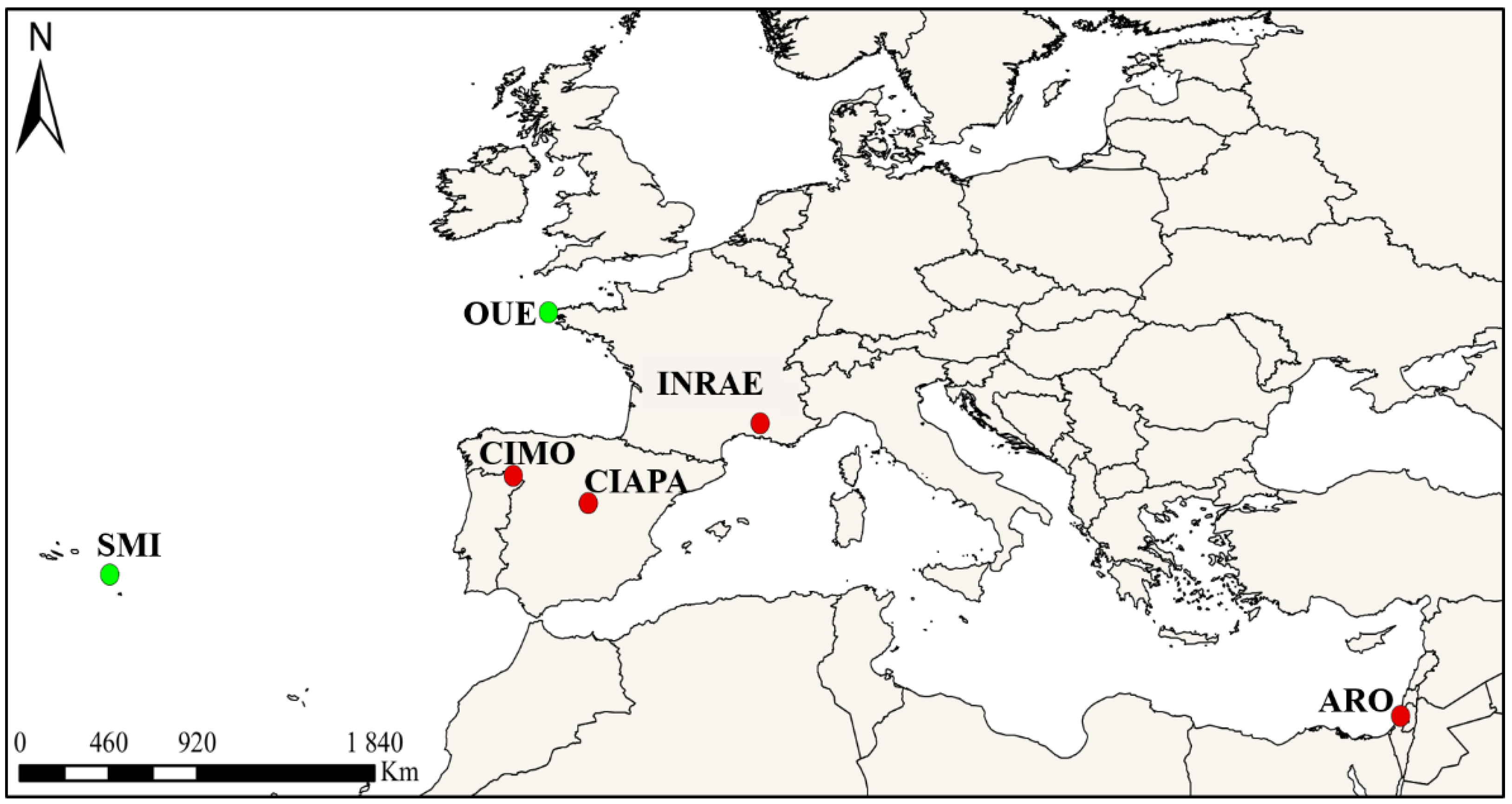 Insects 13 00844 g001