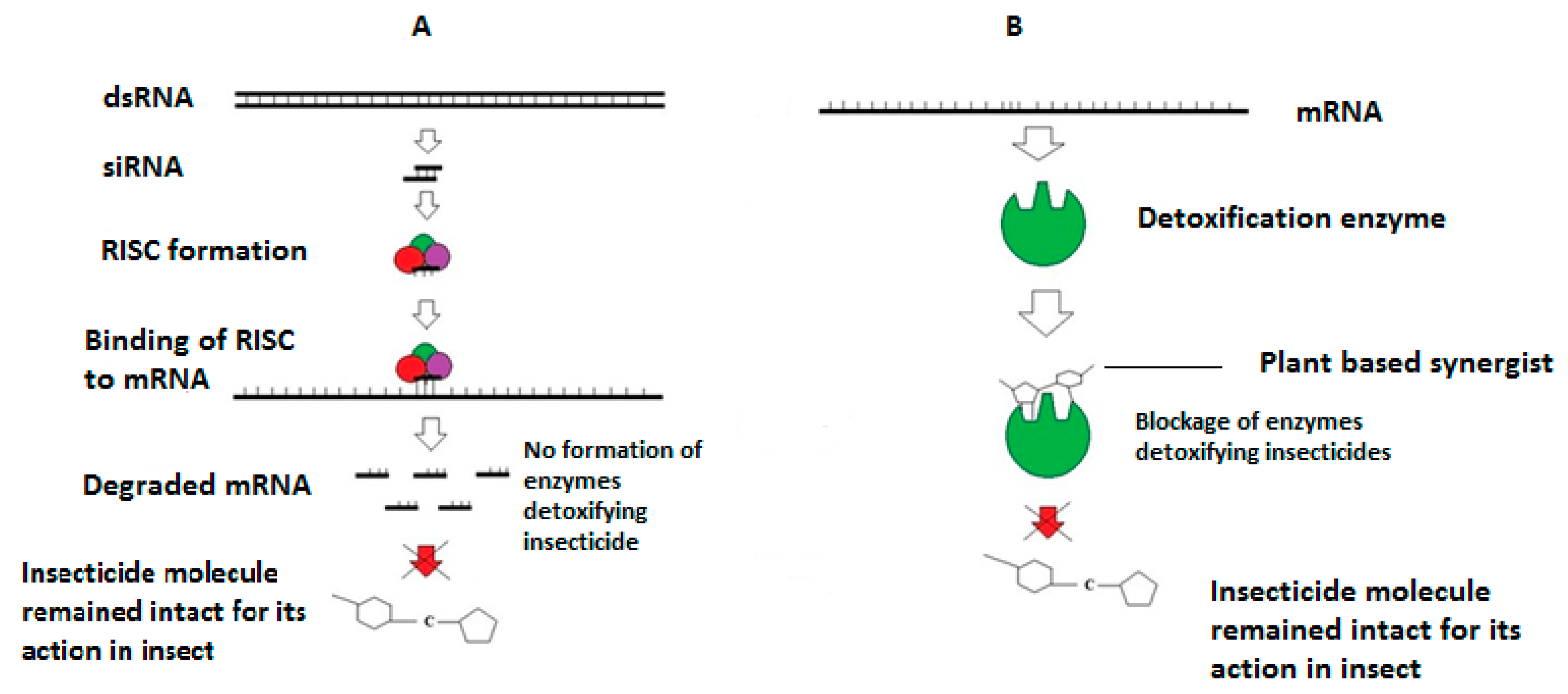Insects 13 00846 g001 Insects 13 00846 g001