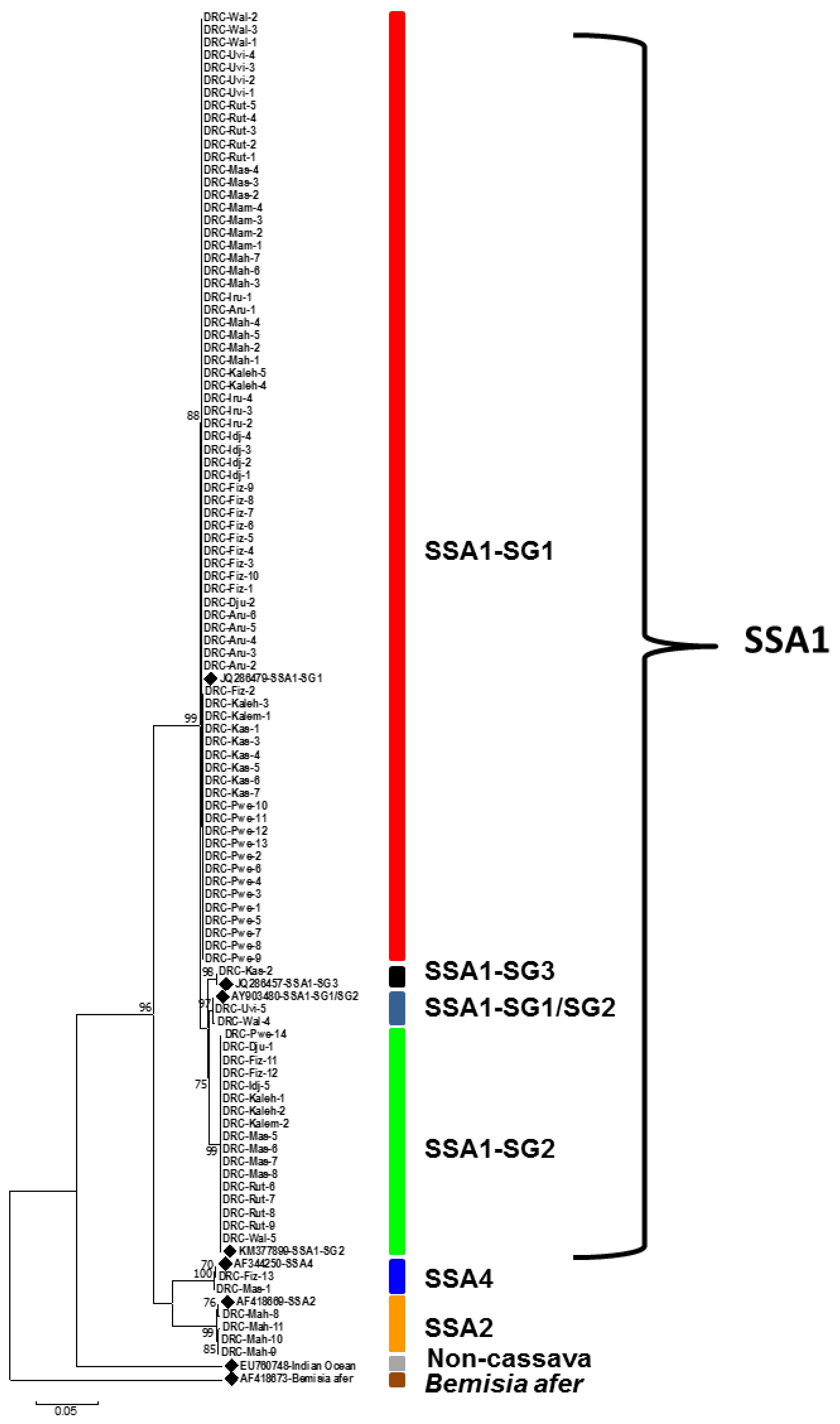 Insects 13 00849 g001