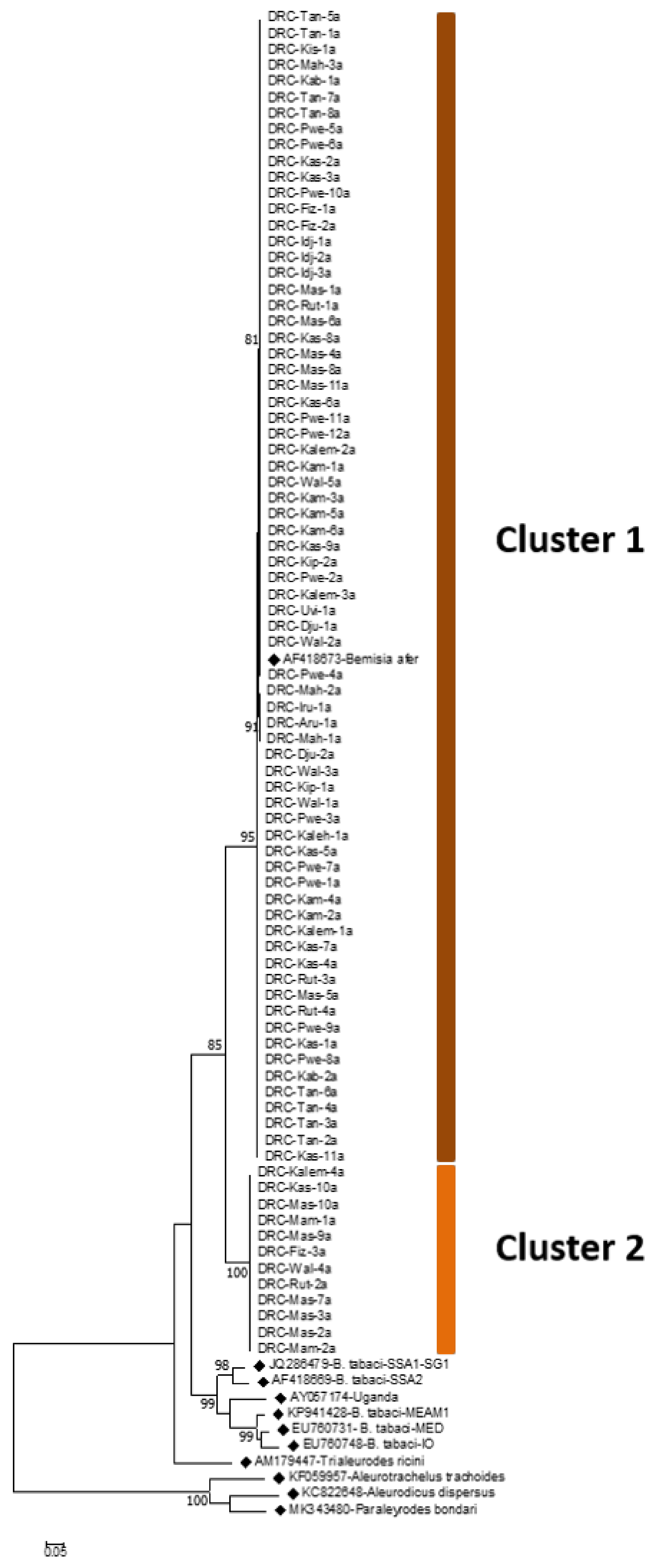 Insects 13 00849 g004