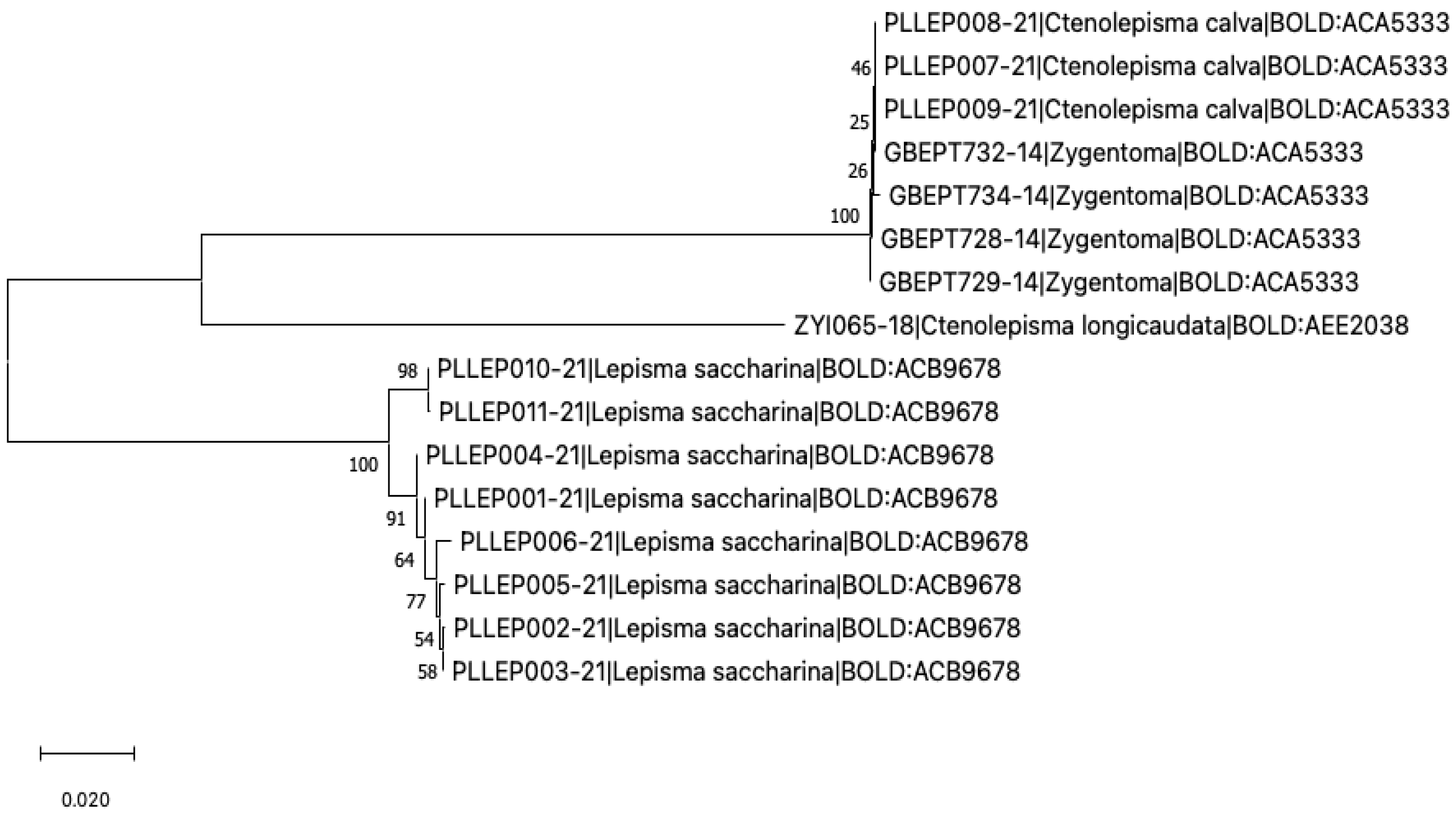 Insects 13 00855 g007