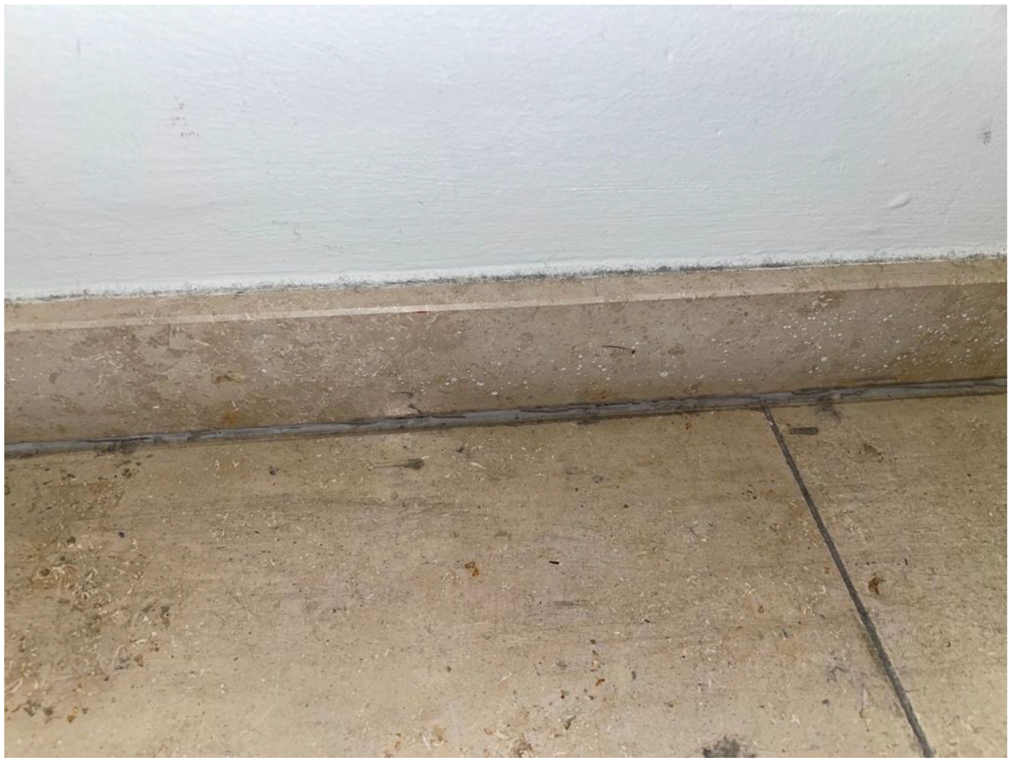 Insects 13 00855 g008