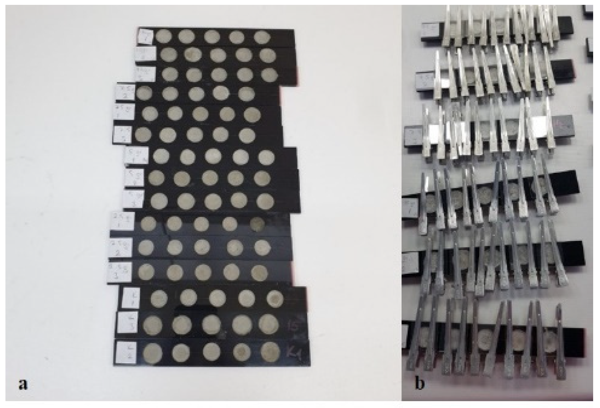 Insects 13 00857 g001