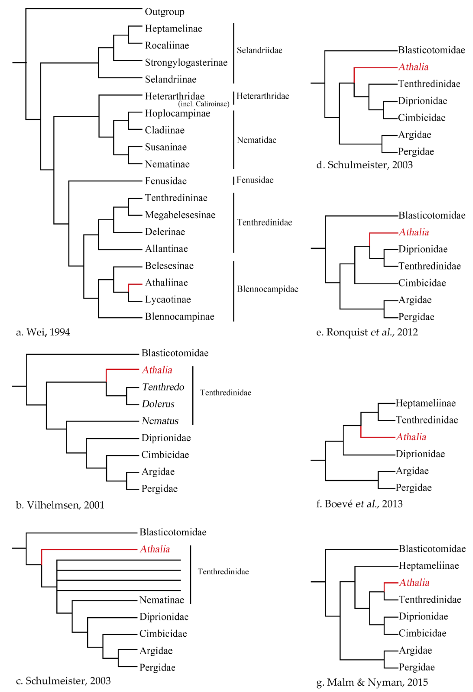 Insects 13 00858 g001