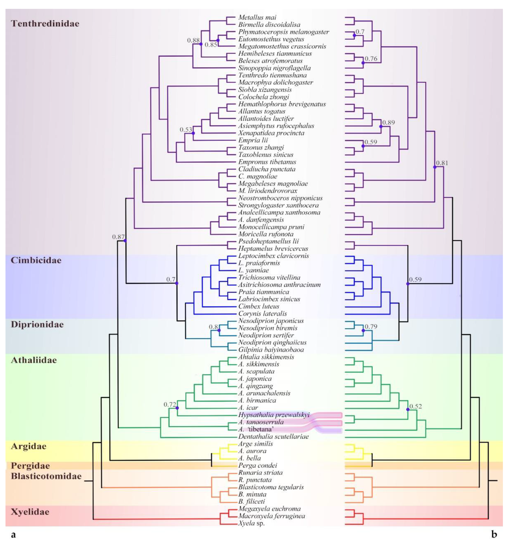 Insects 13 00858 g002