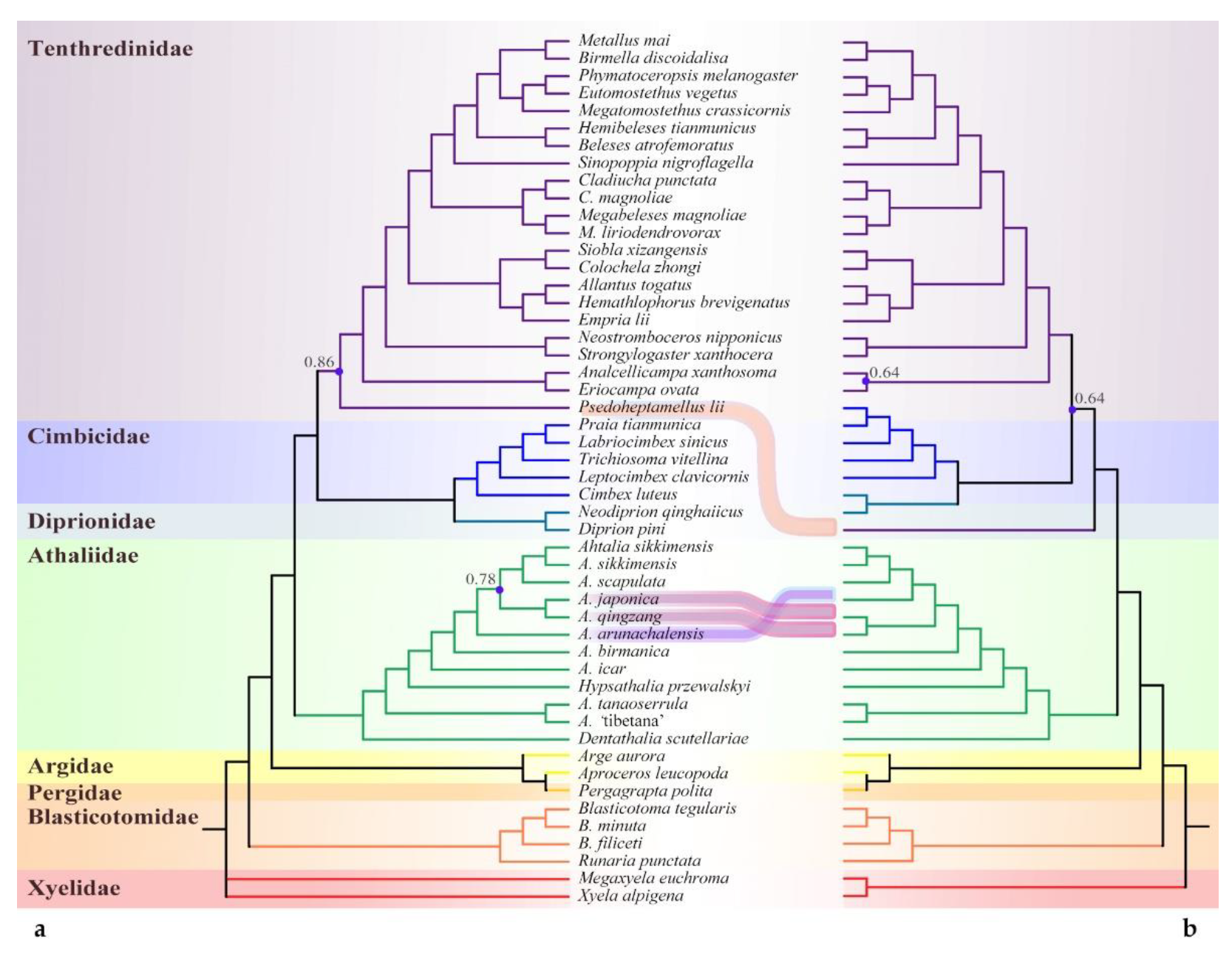 Insects 13 00858 g004