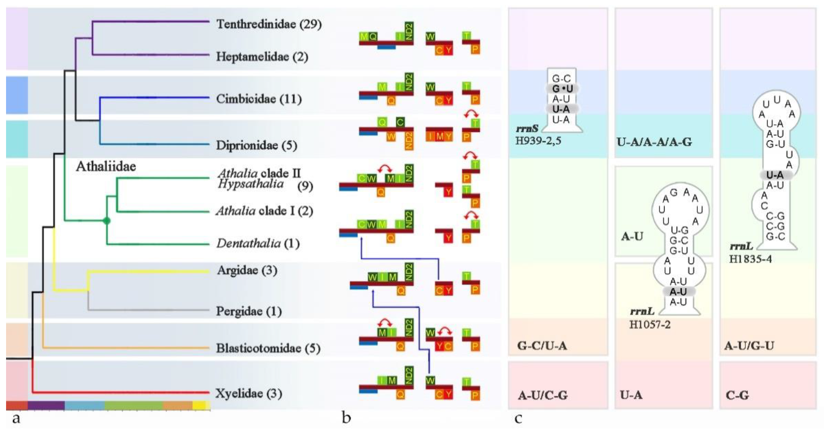 Insects 13 00858 g005