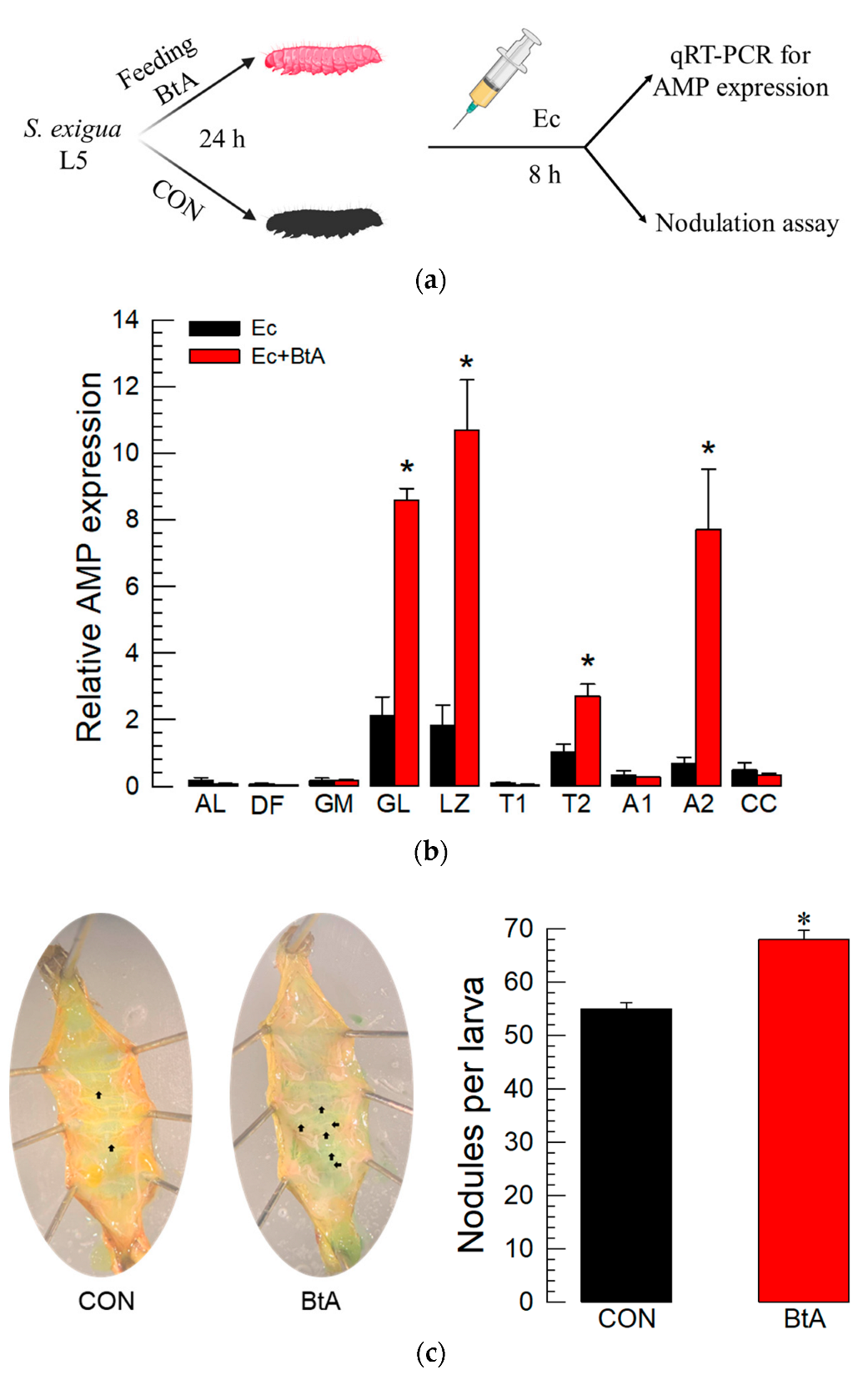 Insects 13 00860 g003