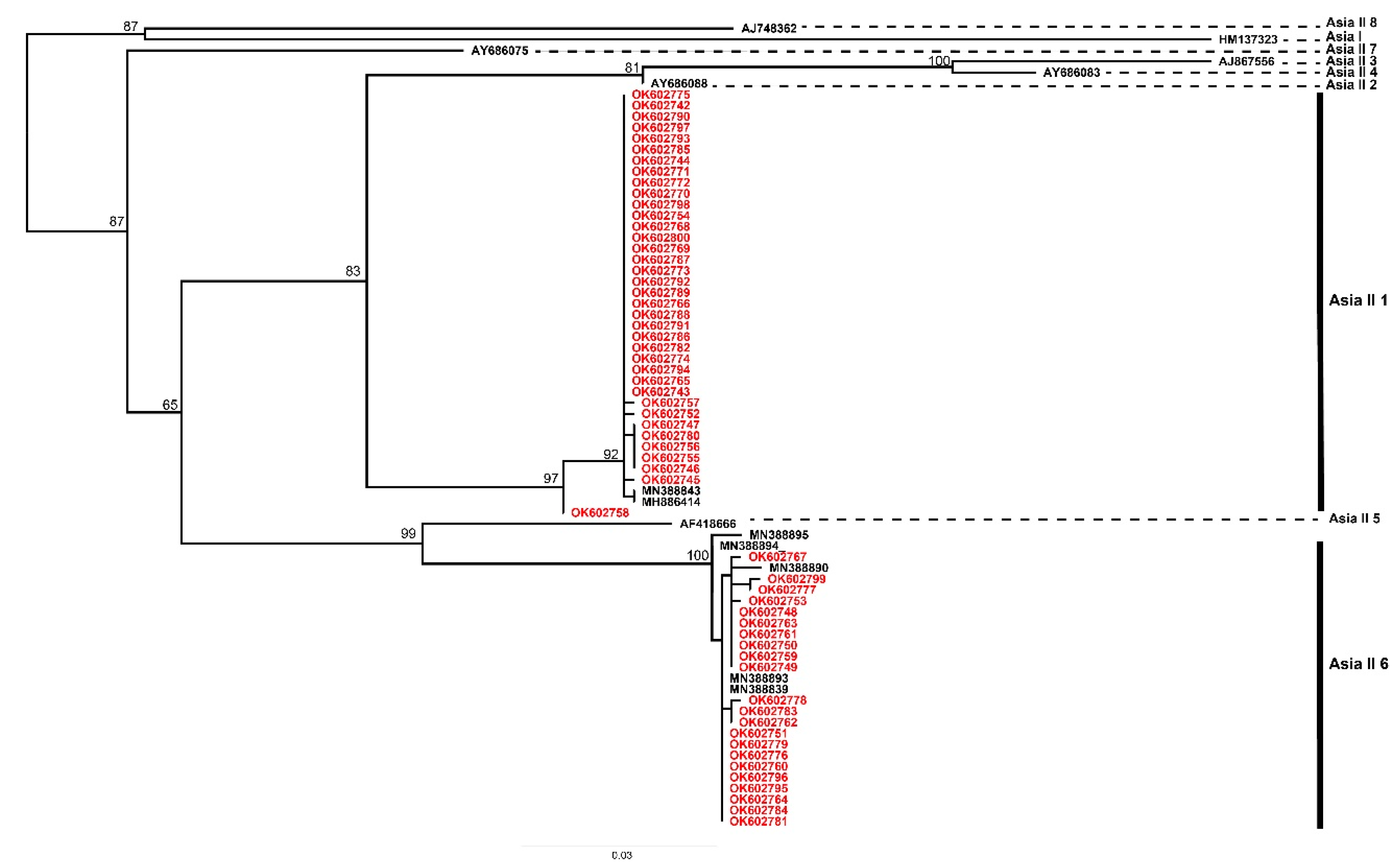Insects 13 00861 g004