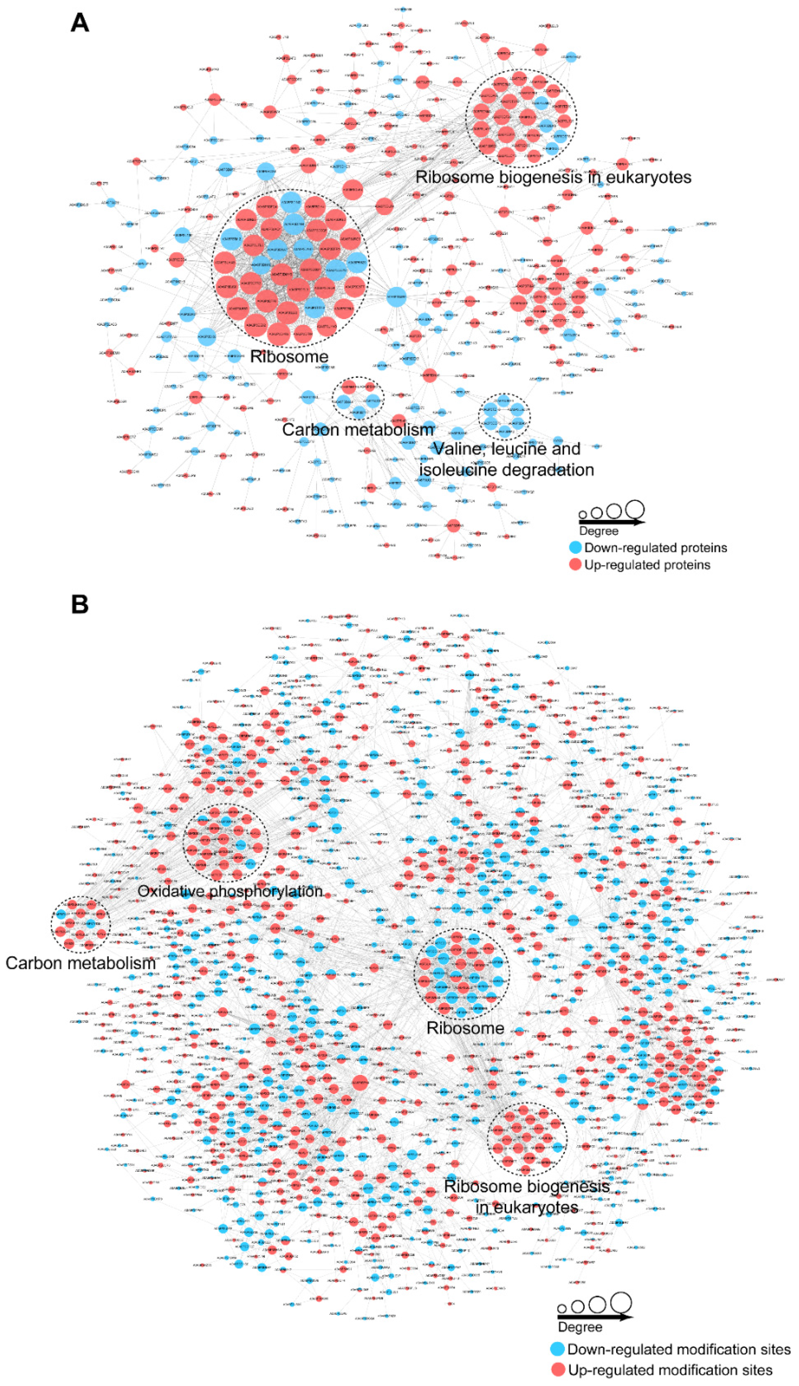 Insects 13 00862 g006