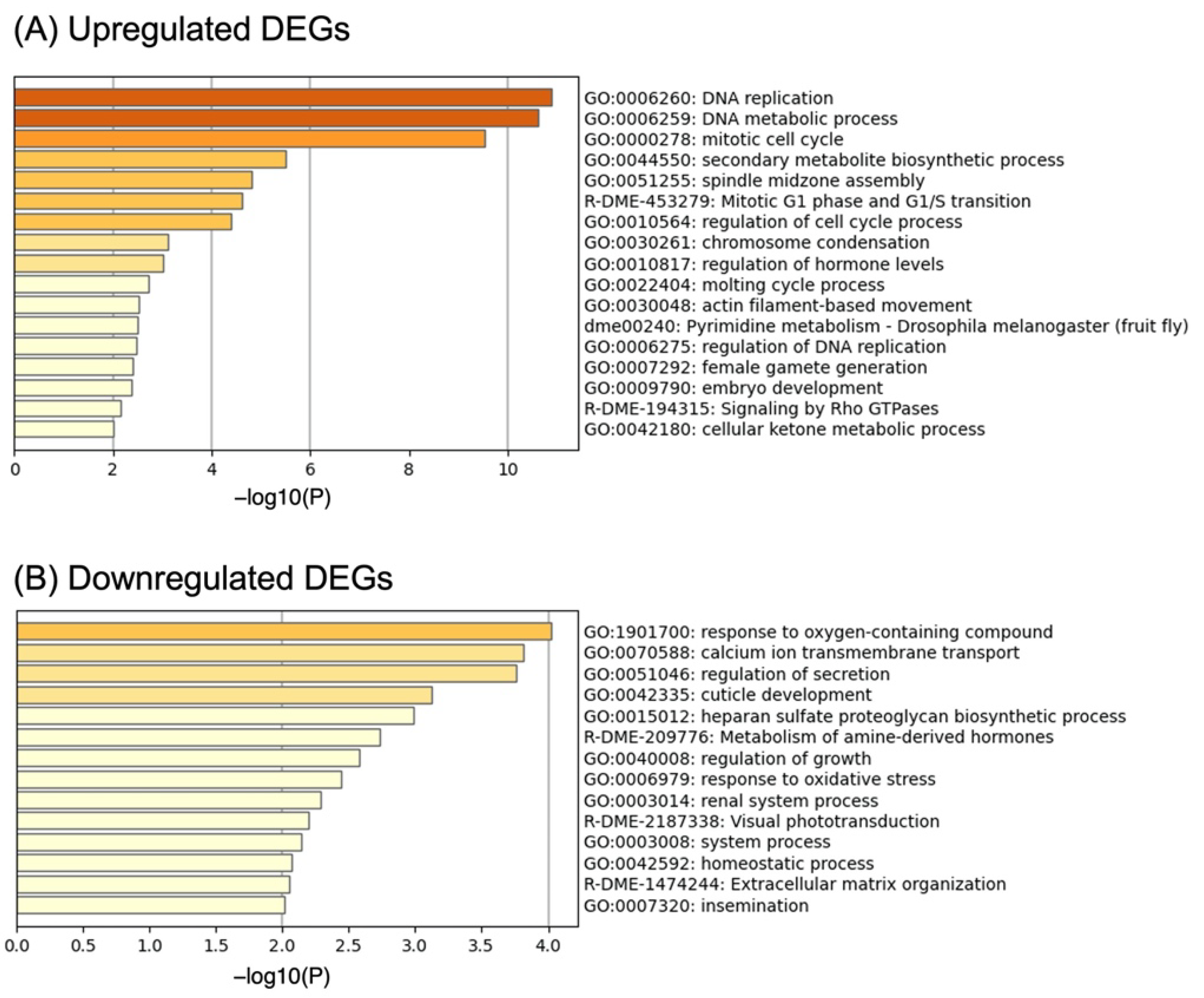 Insects 13 00864 g002