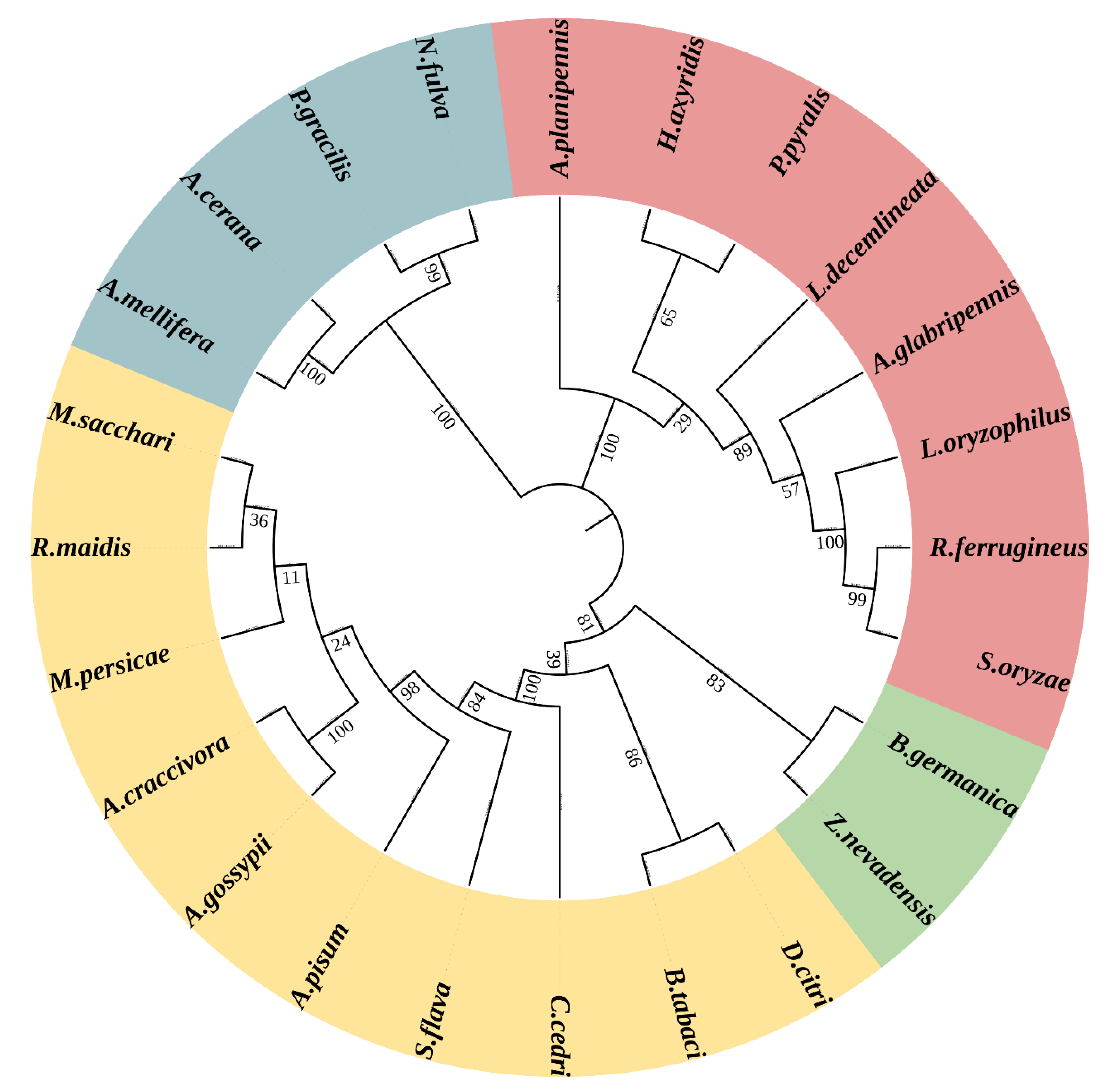 Insects 13 00867 g003
