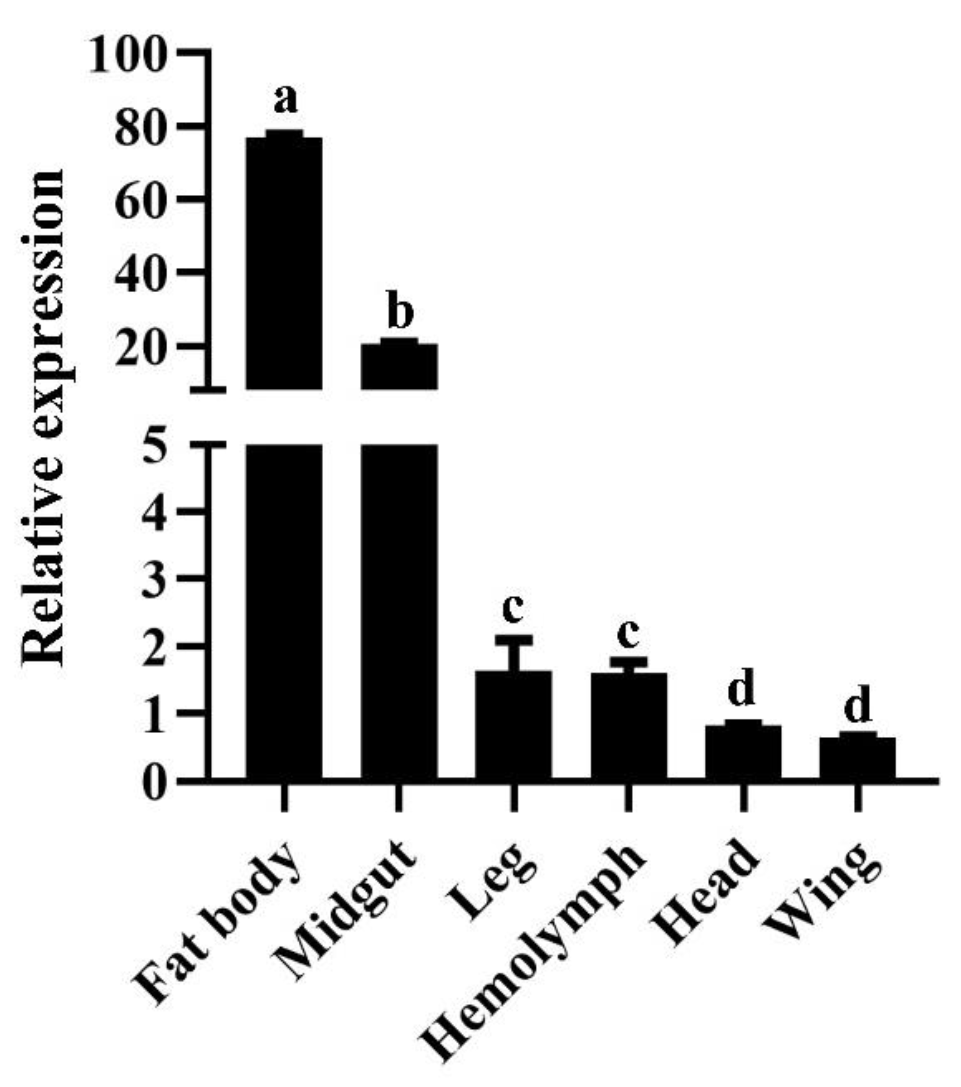 Insects 13 00867 g004