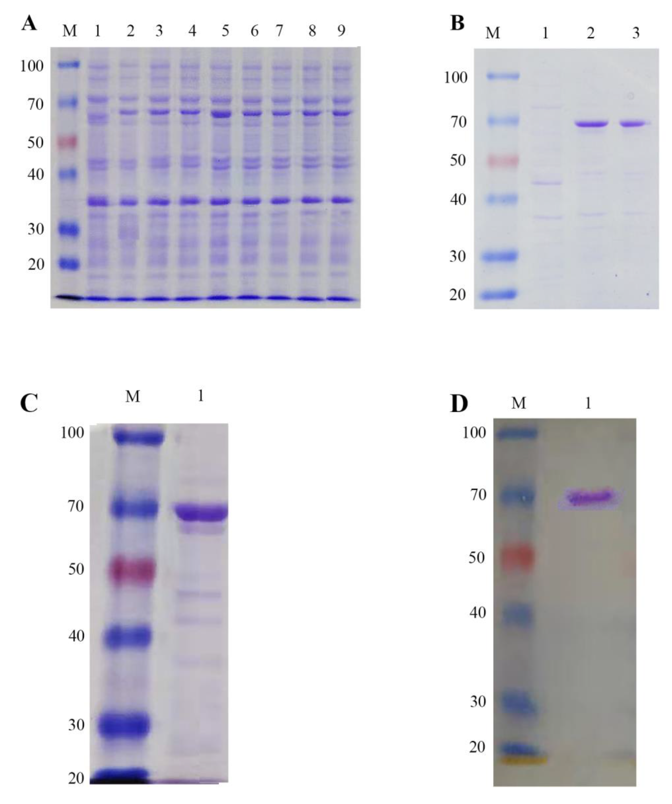 Insects 13 00867 g008