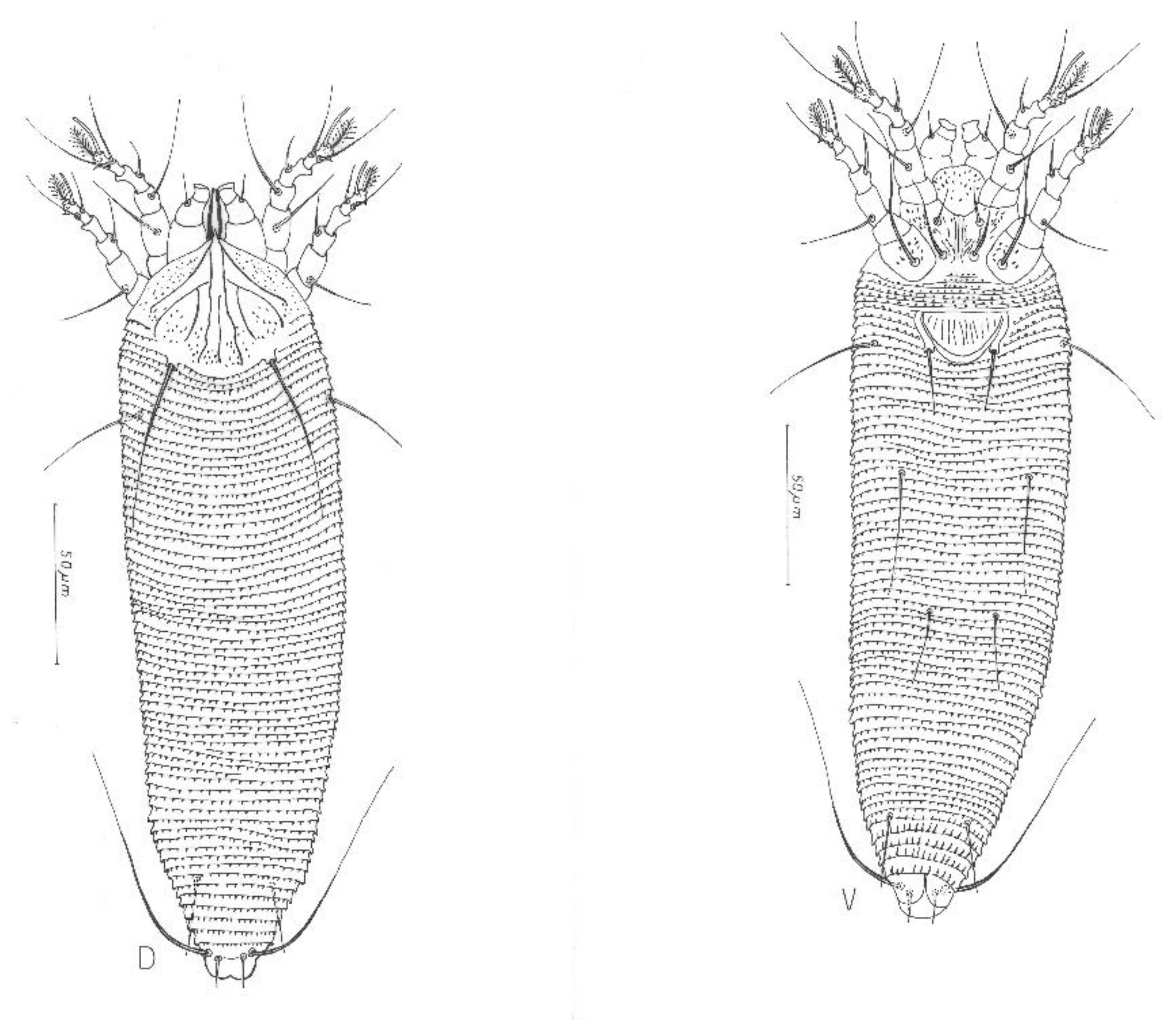 Insects 13 00877 g002