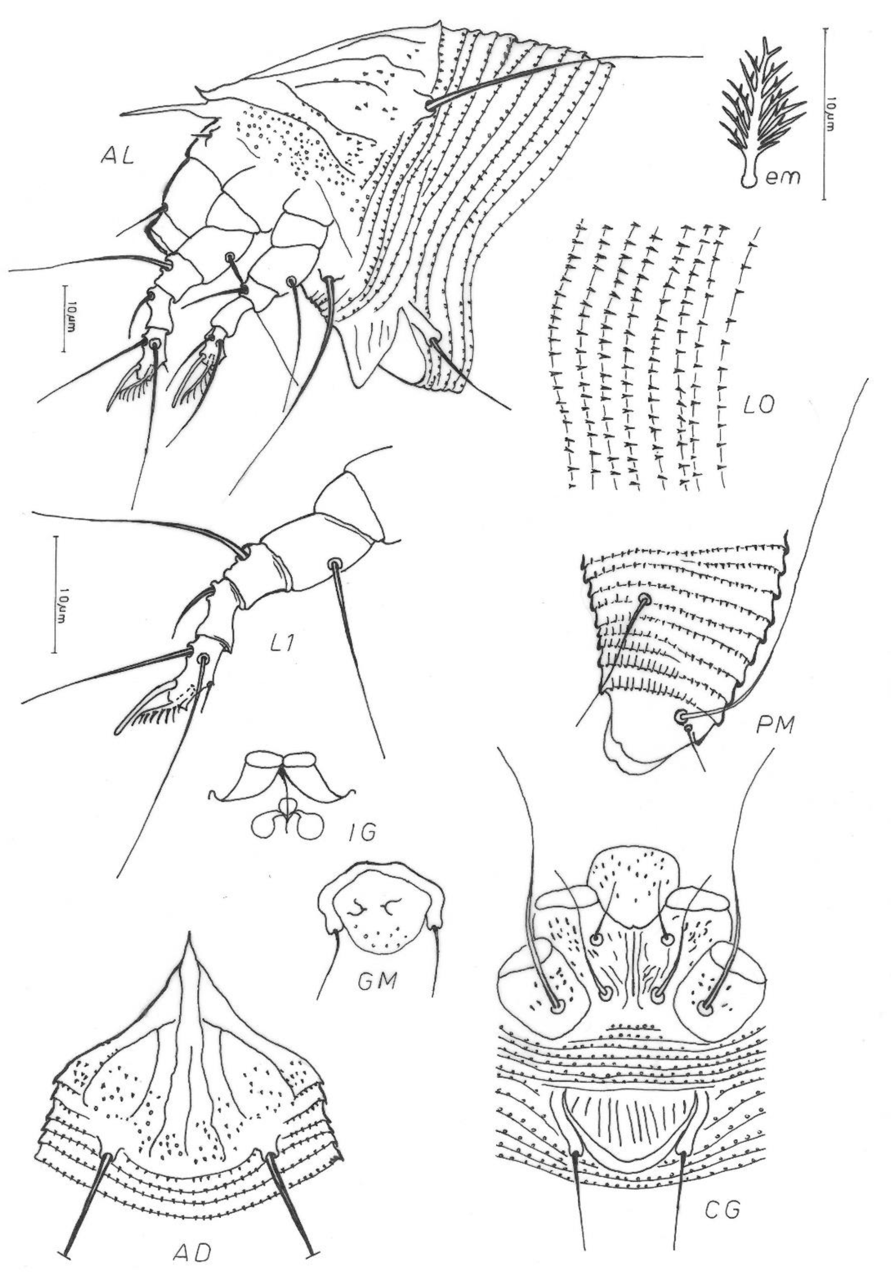 Insects 13 00877 g003