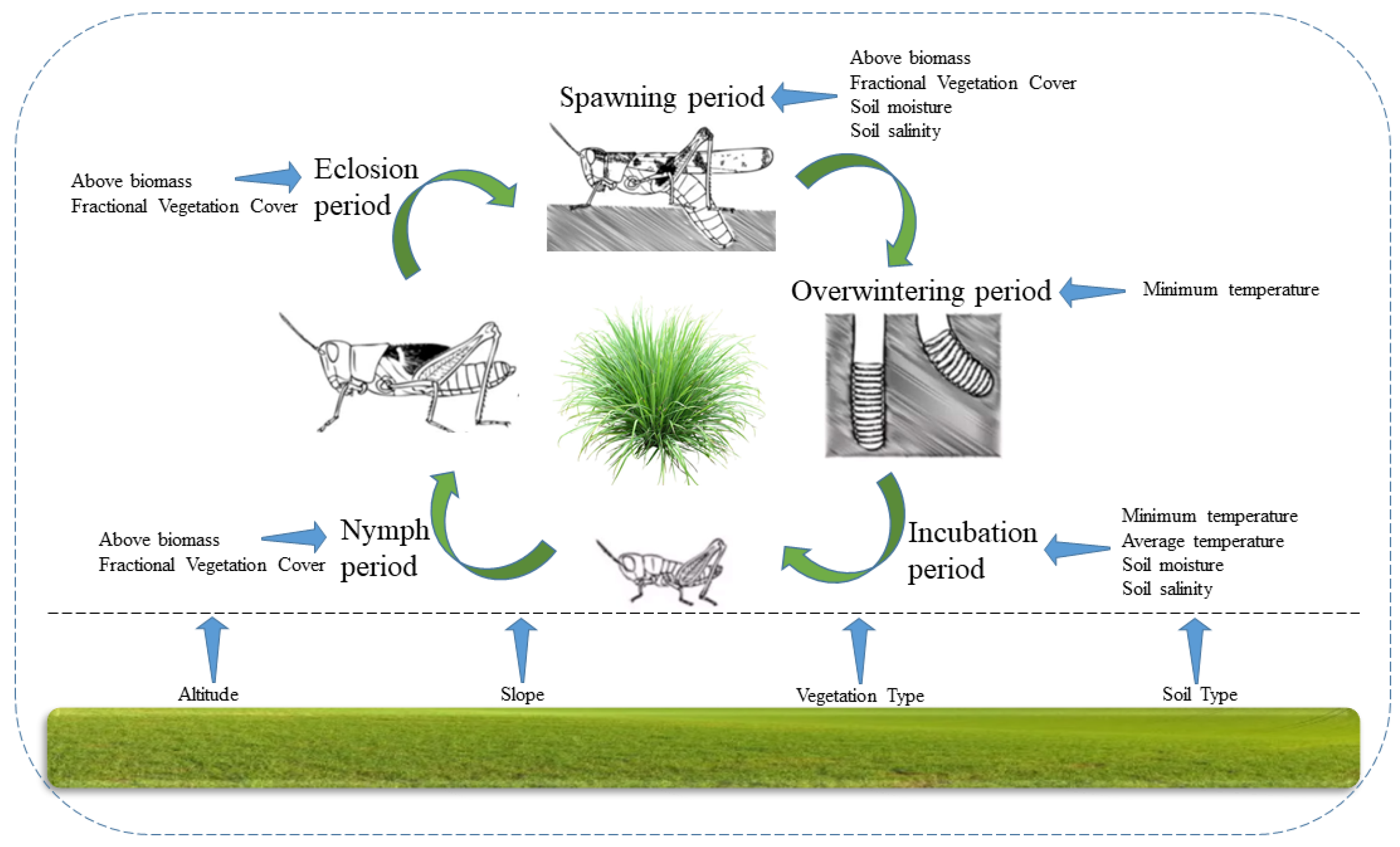Insects 13 00894 g001