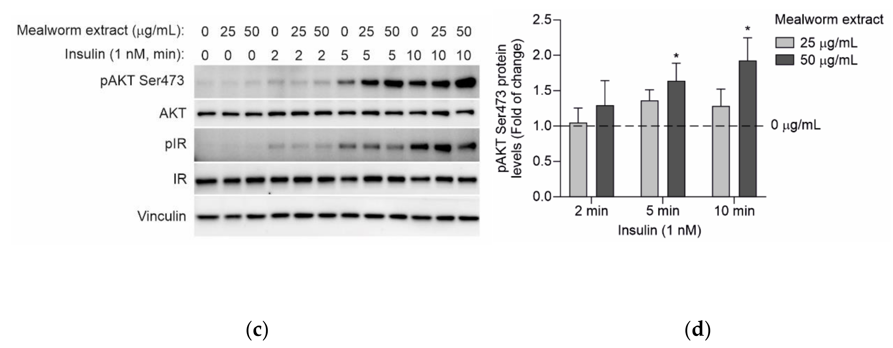 Insects 13 00896 g005b Insects 13 00896 g005b