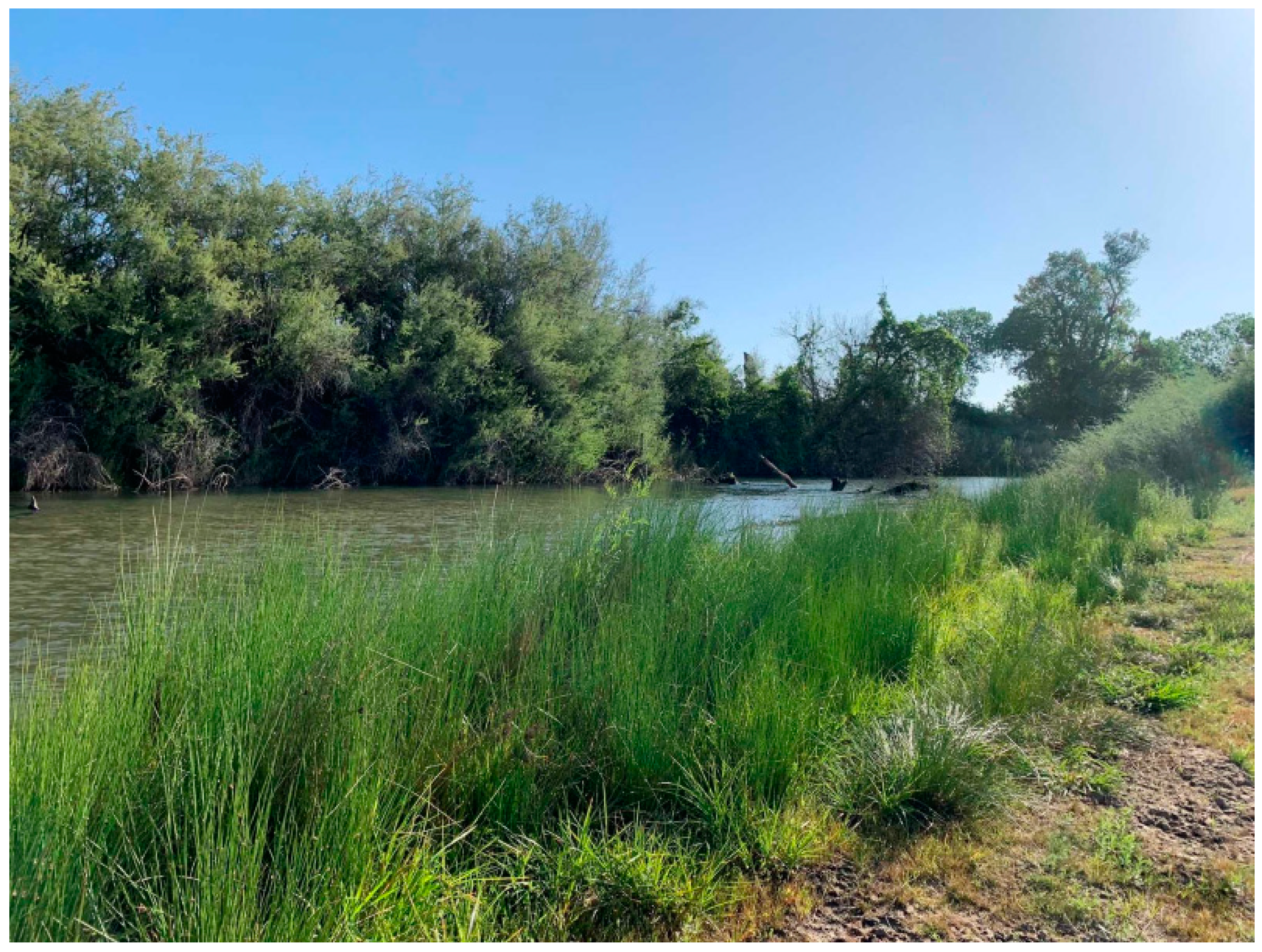 Insects 13 00903 g001