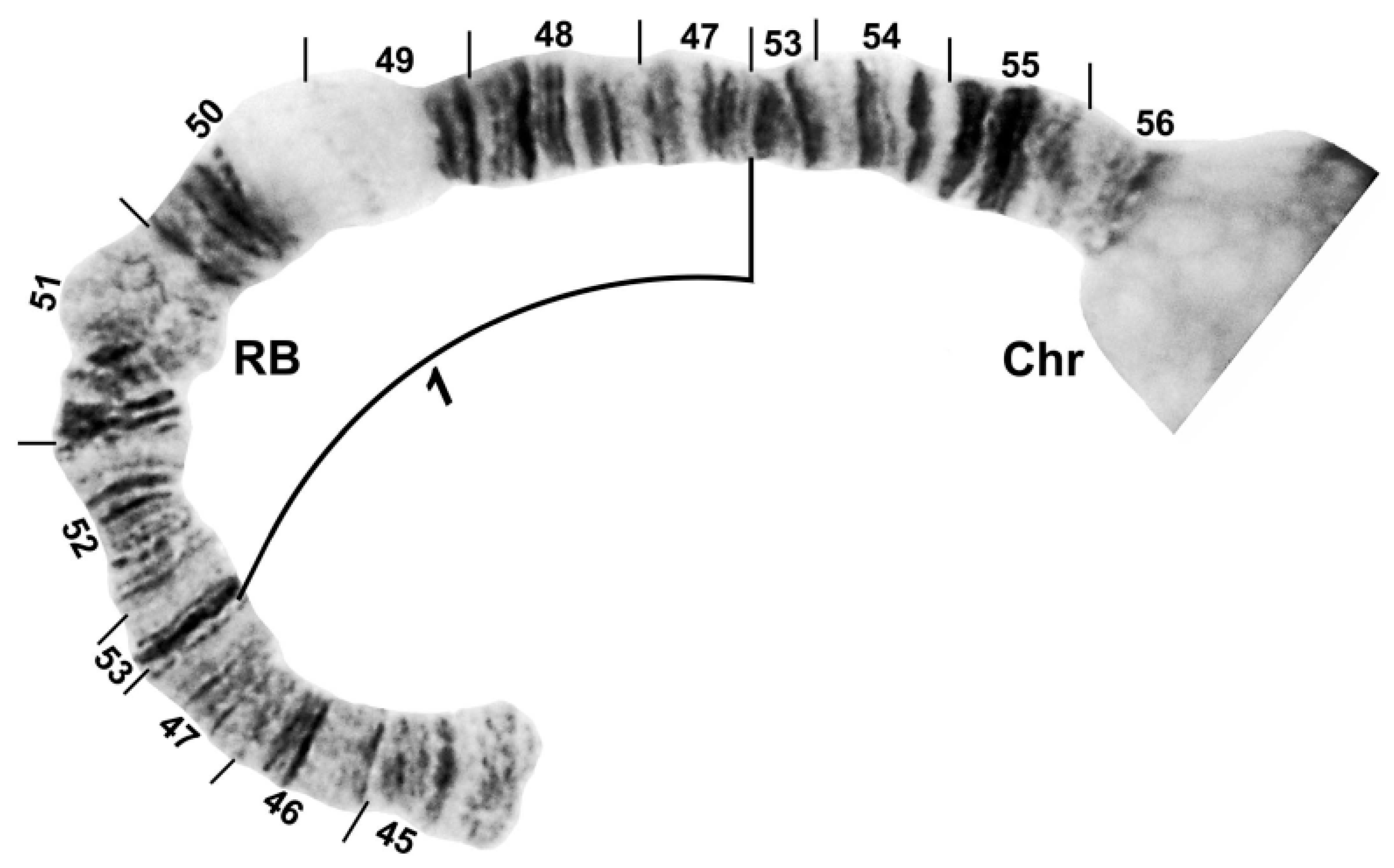 Insects 13 00903 g004
