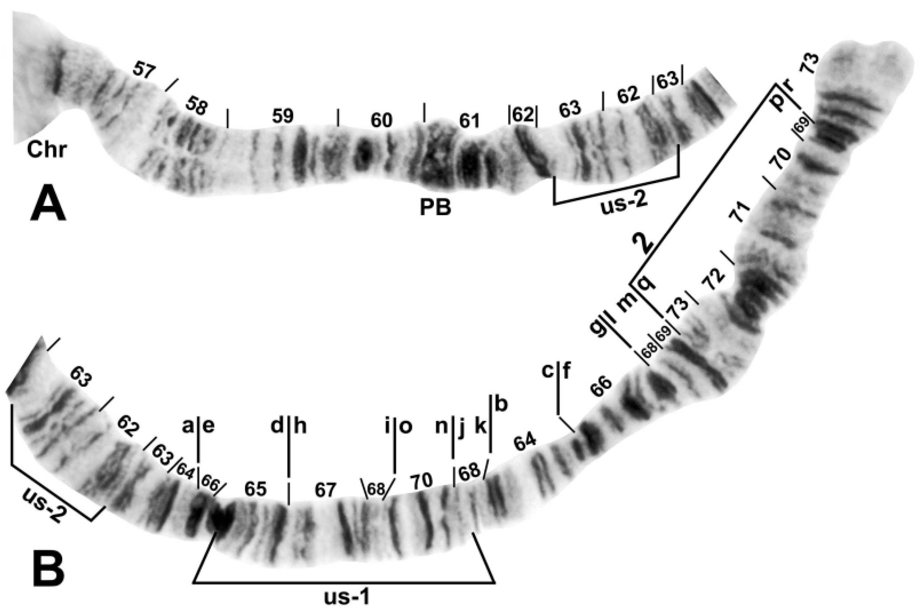 Insects 13 00903 g005