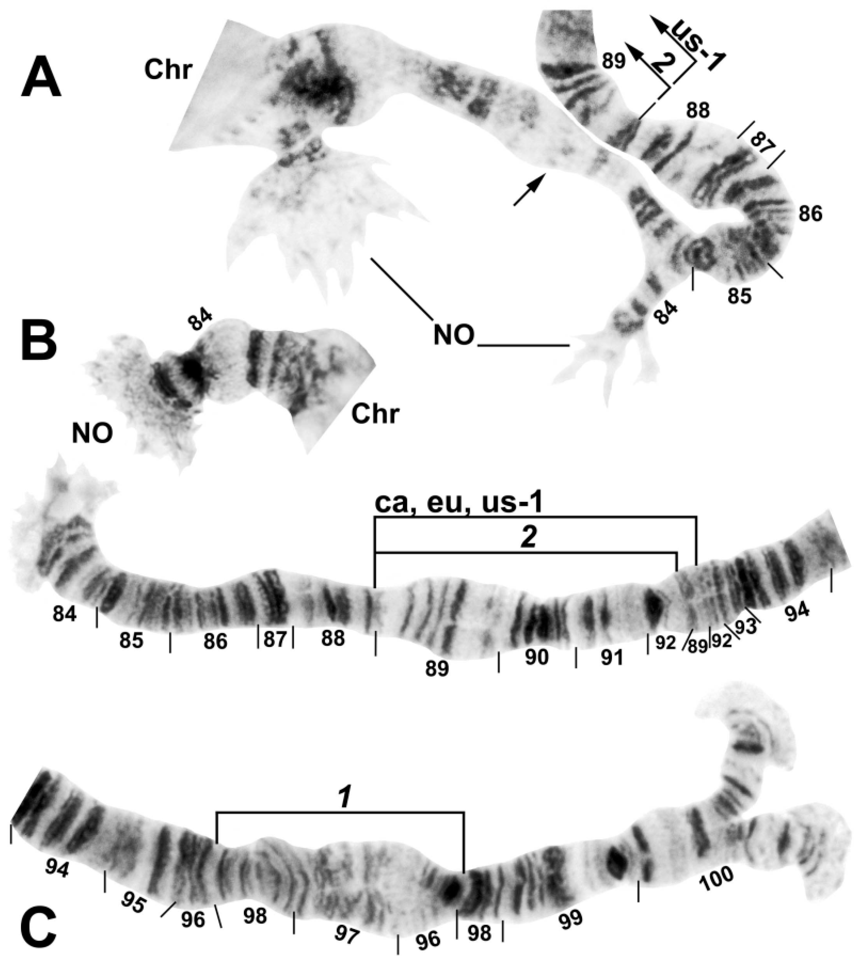 Insects 13 00903 g006
