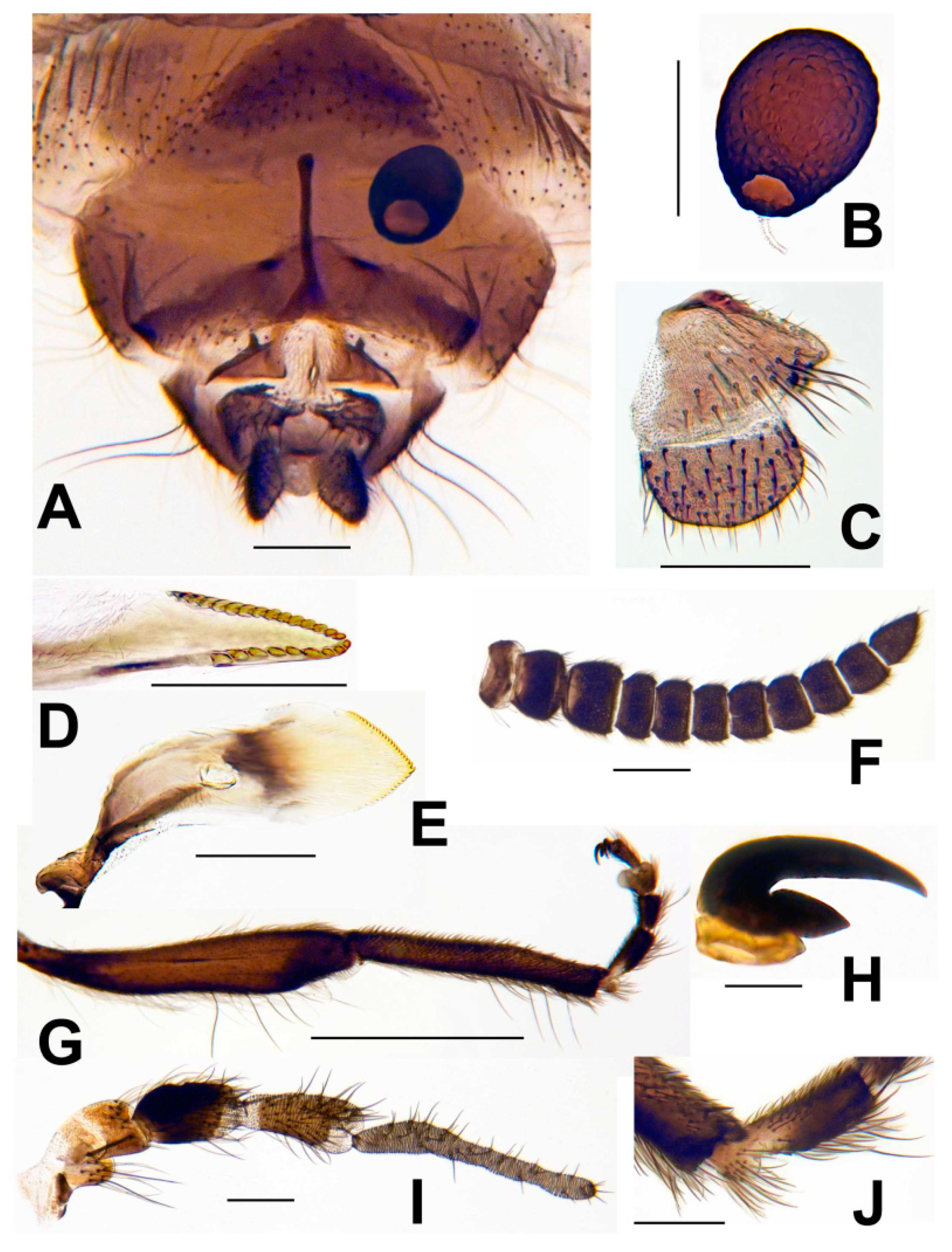 Insects 13 00903 g008