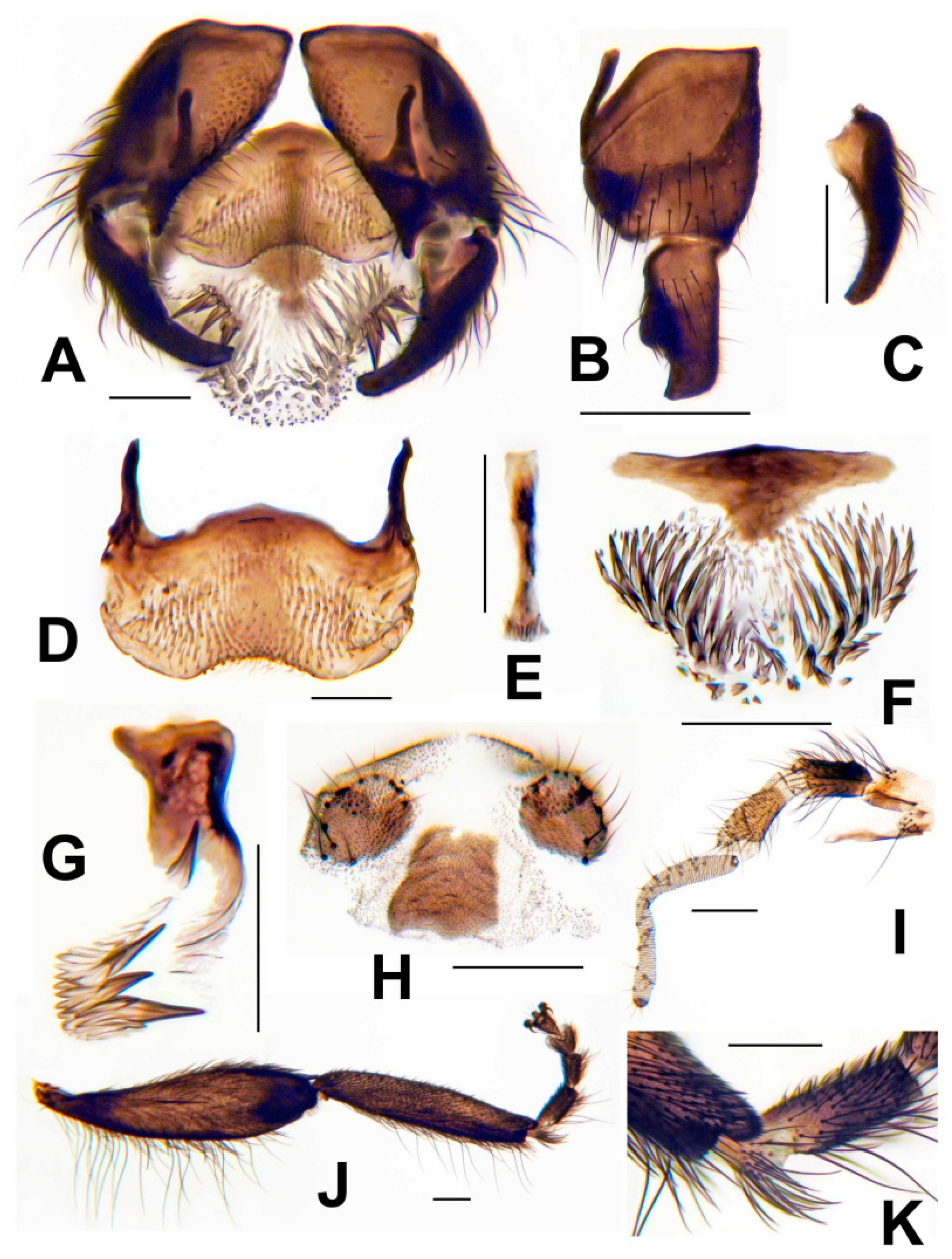 Insects 13 00903 g009