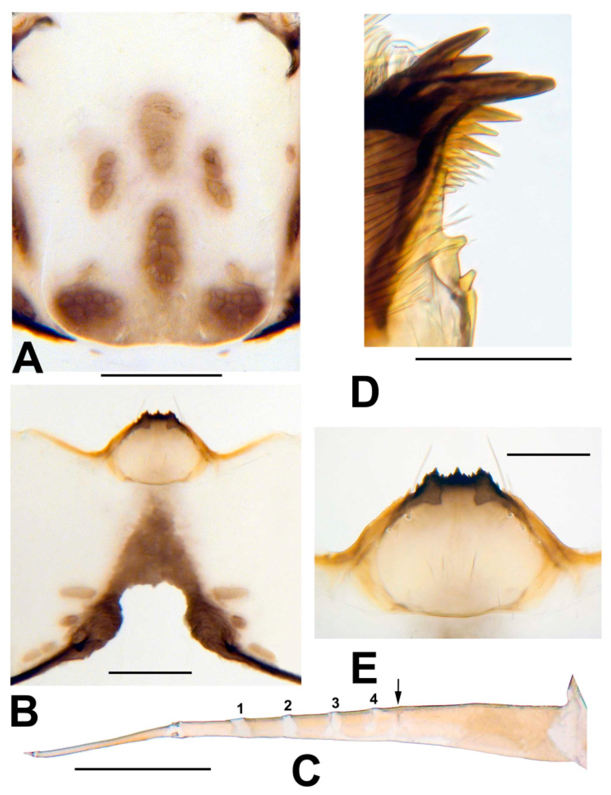 Insects 13 00903 g011