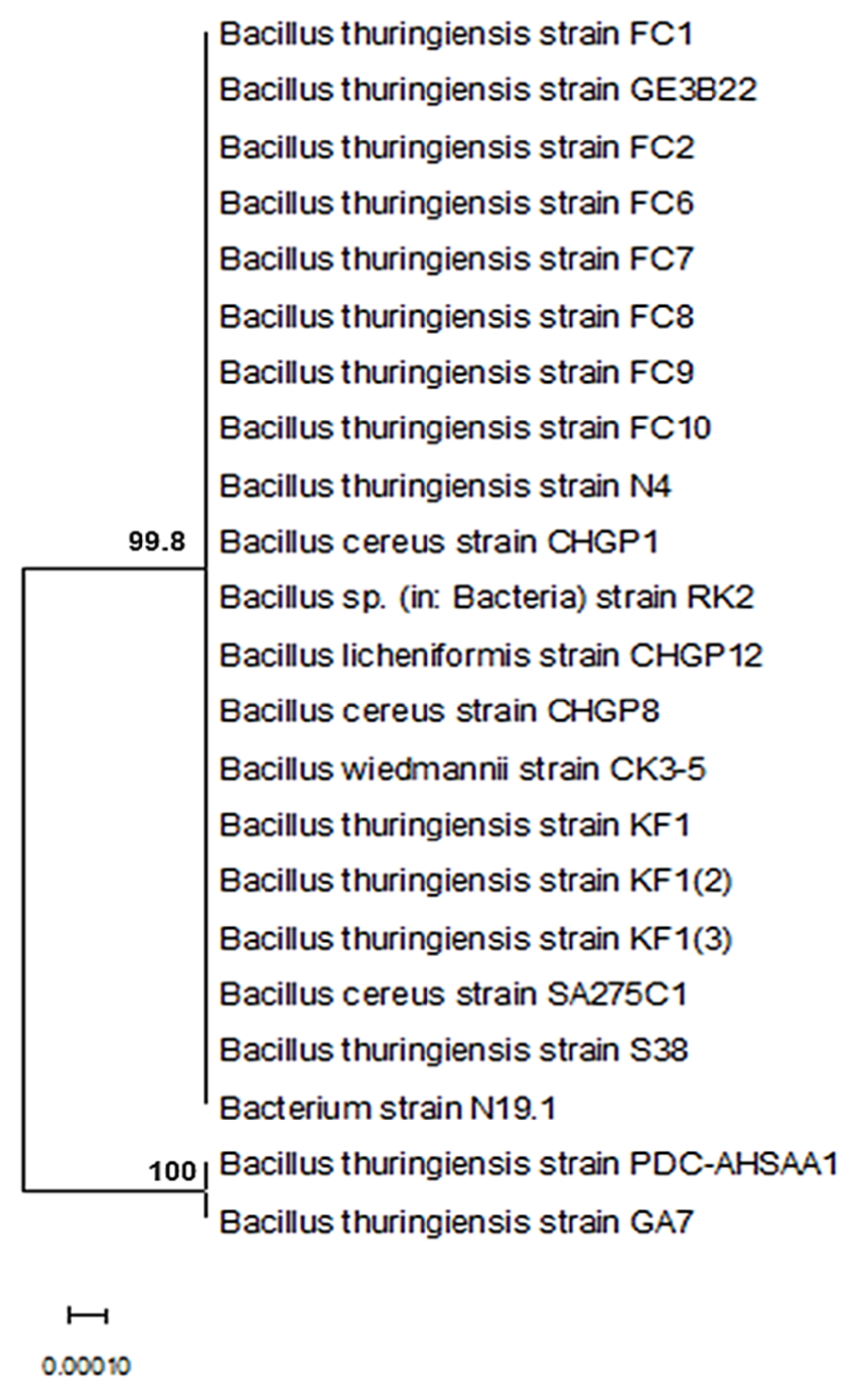 Insects 13 00905 g001