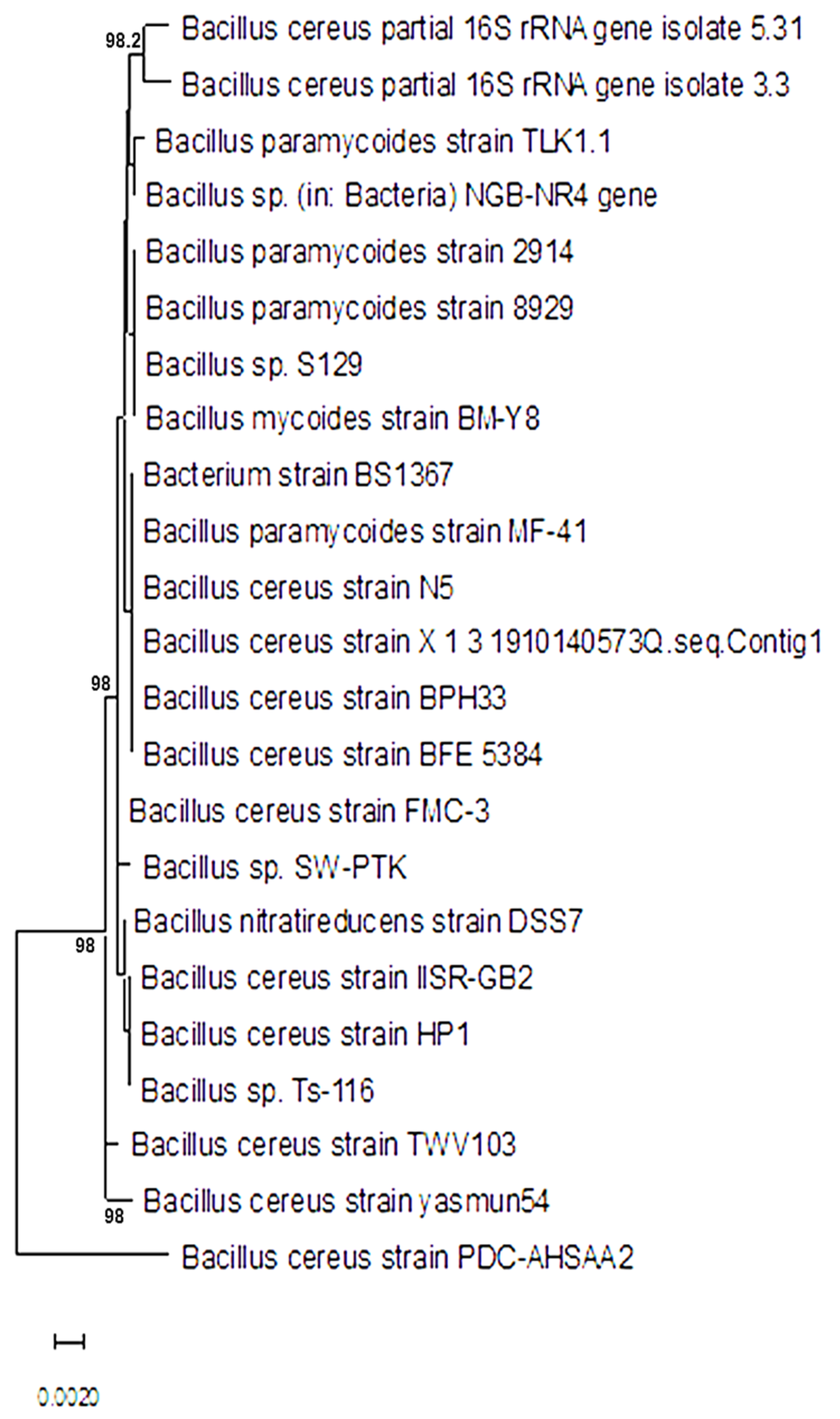 Insects 13 00905 g002