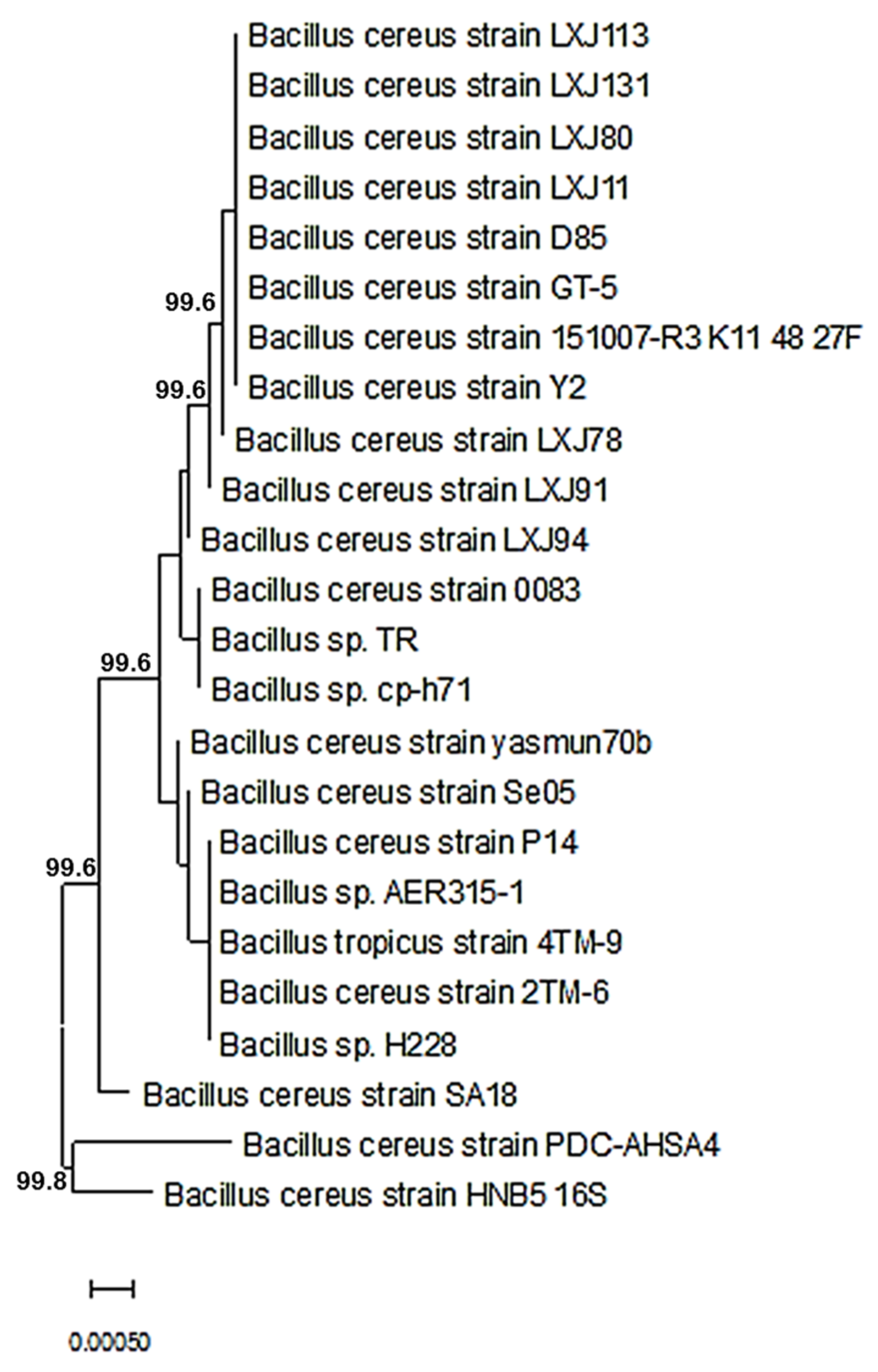 Insects 13 00905 g004