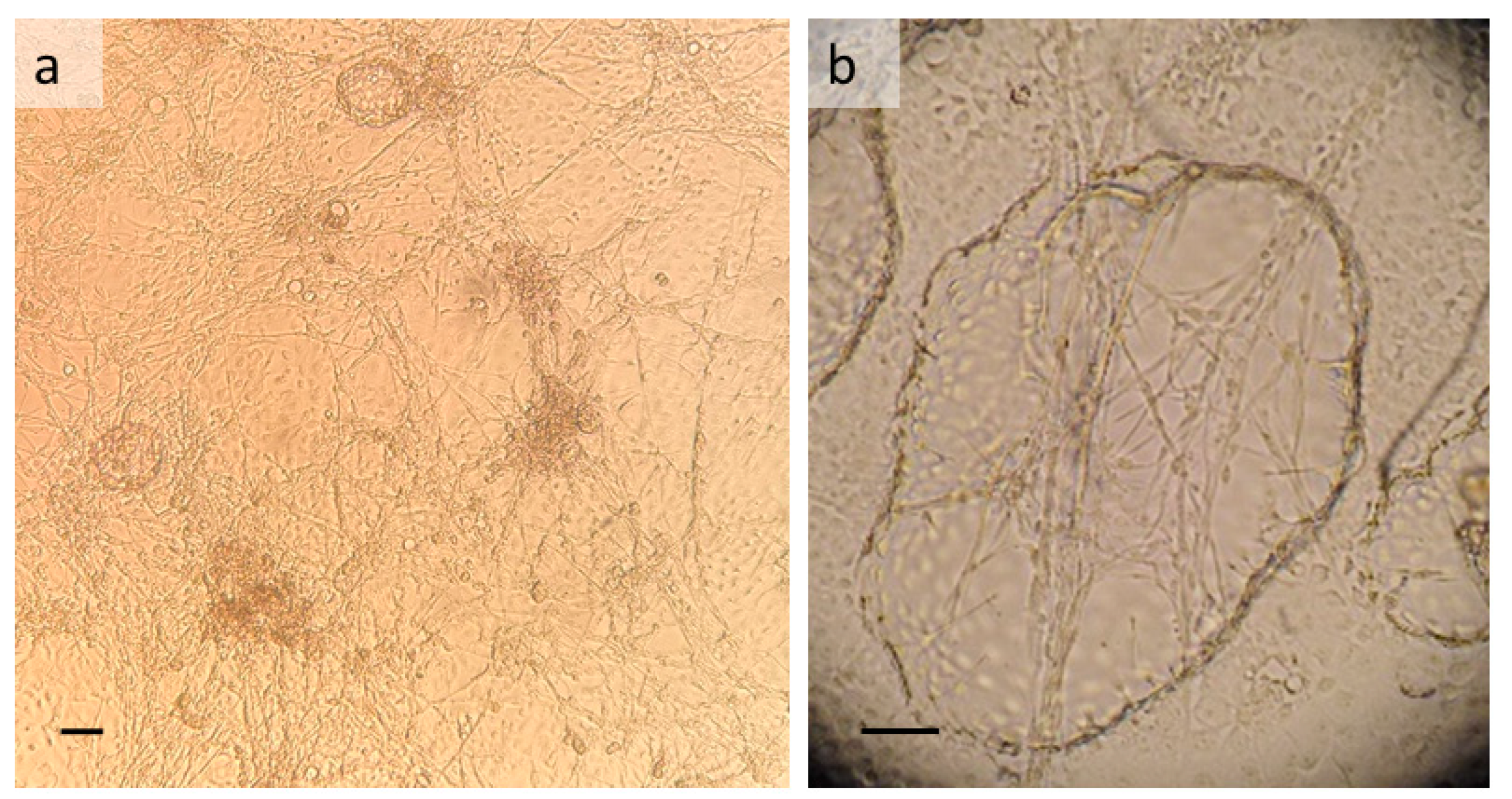 Insects 13 00906 g001
