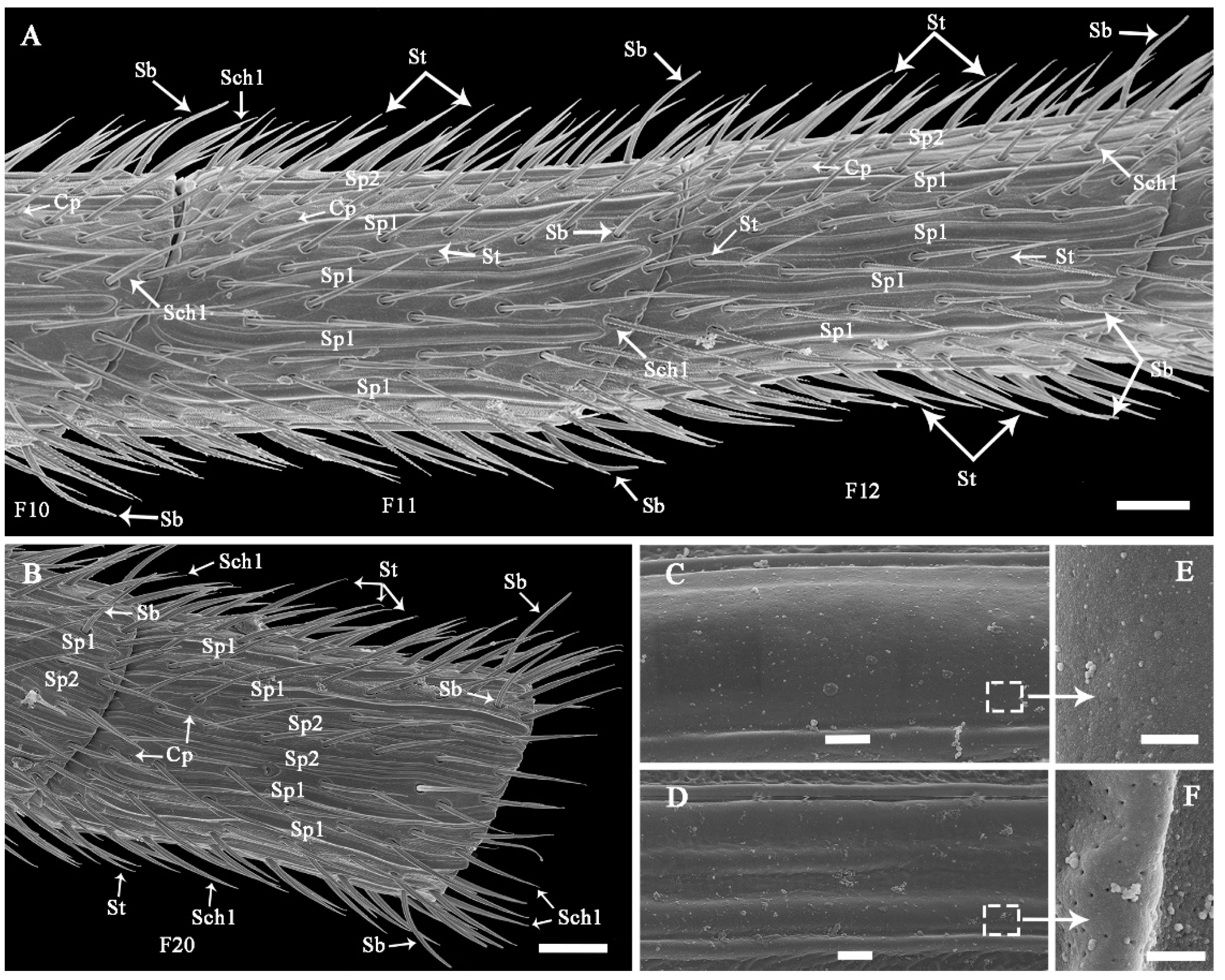 Insects 13 00907 g008