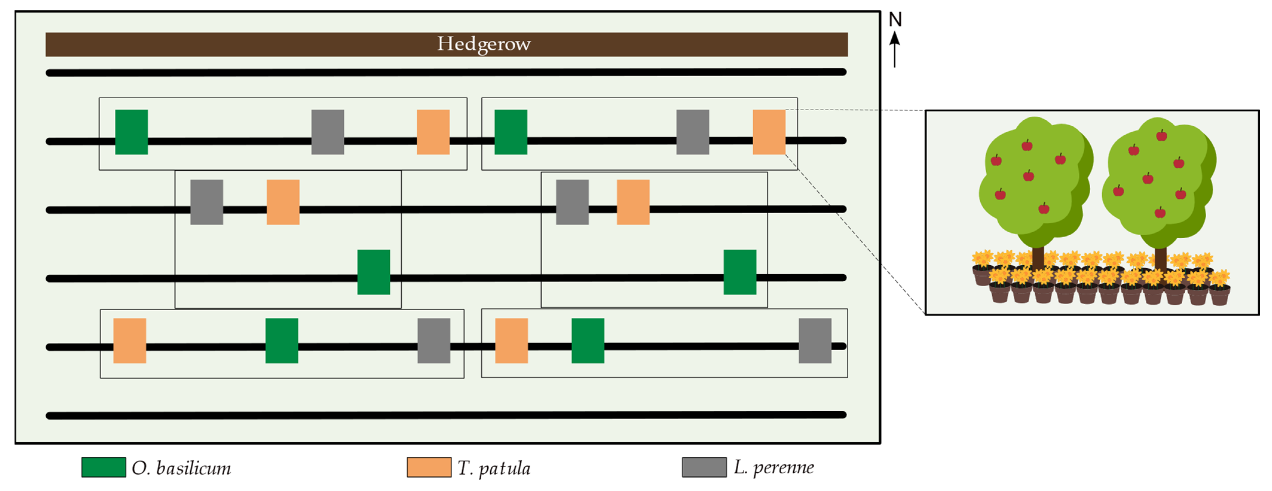Insects 13 00908 g001