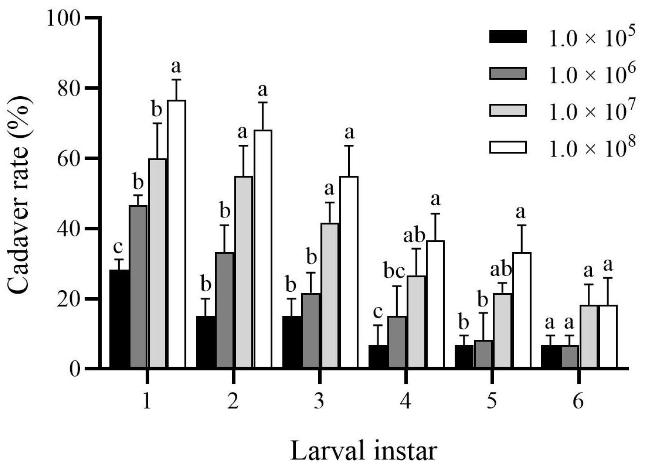 Insects 13 00914 g003